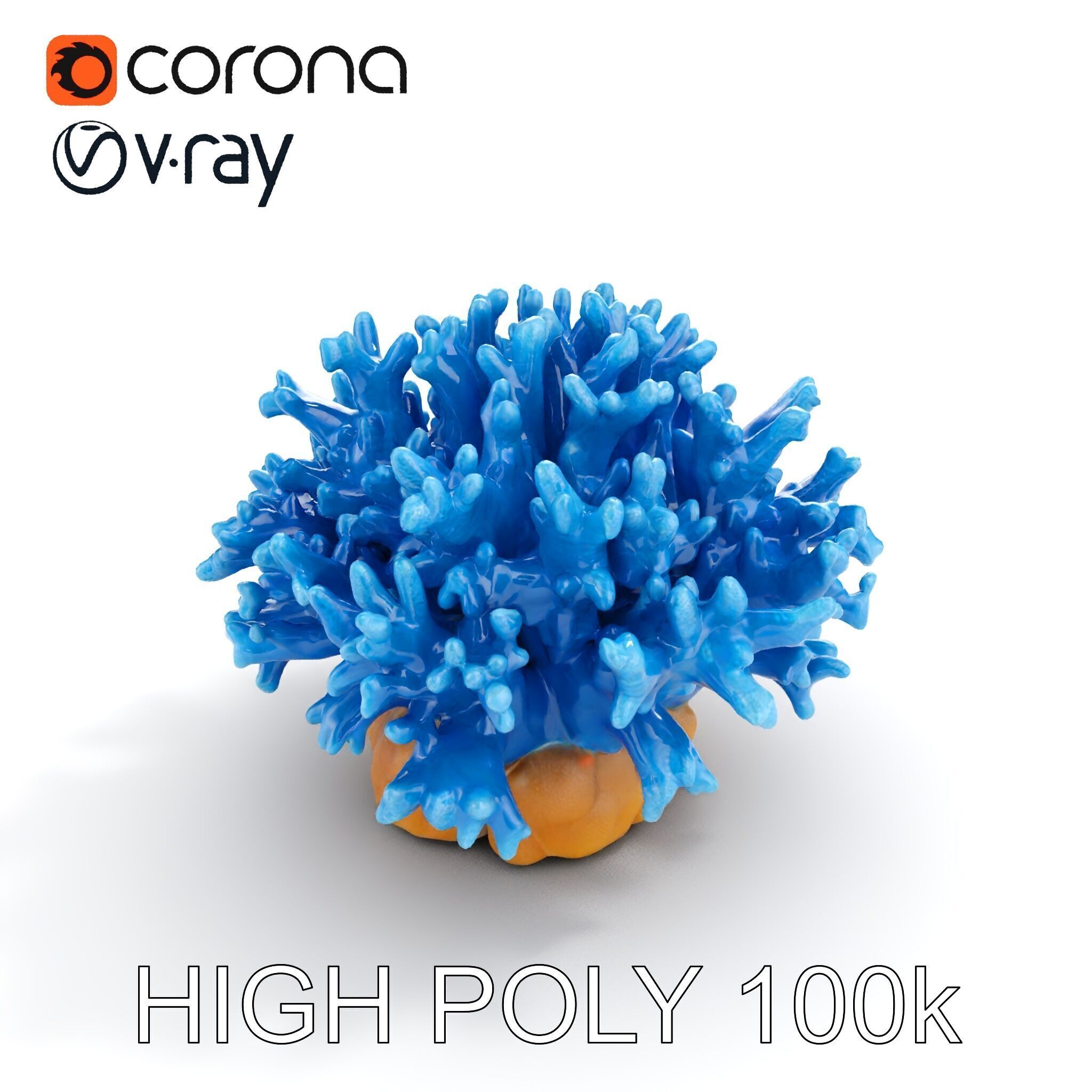 Blue Coral Reef Model Pack Low-poly 3D model_10