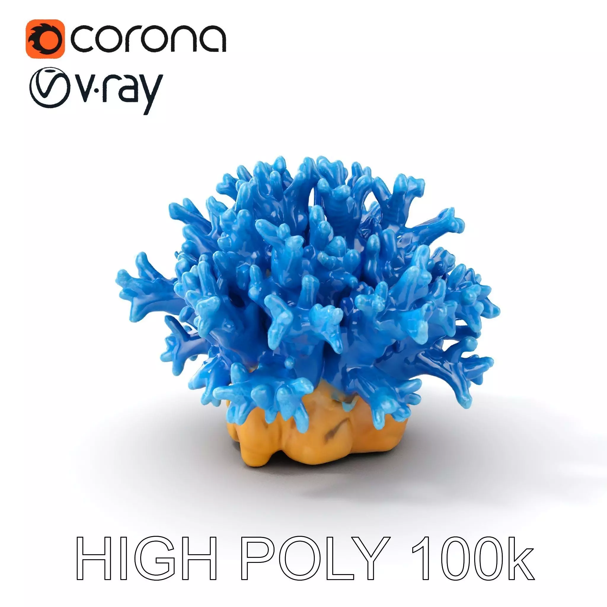 Blue Coral Reef Model Pack Low-poly 3D model_0