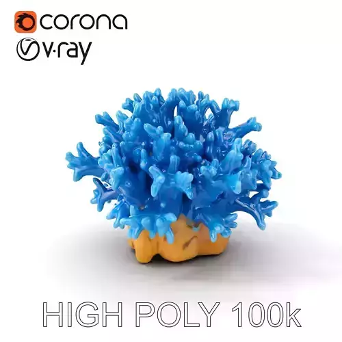 Blue Coral Reef Model Pack Low-poly 3D model