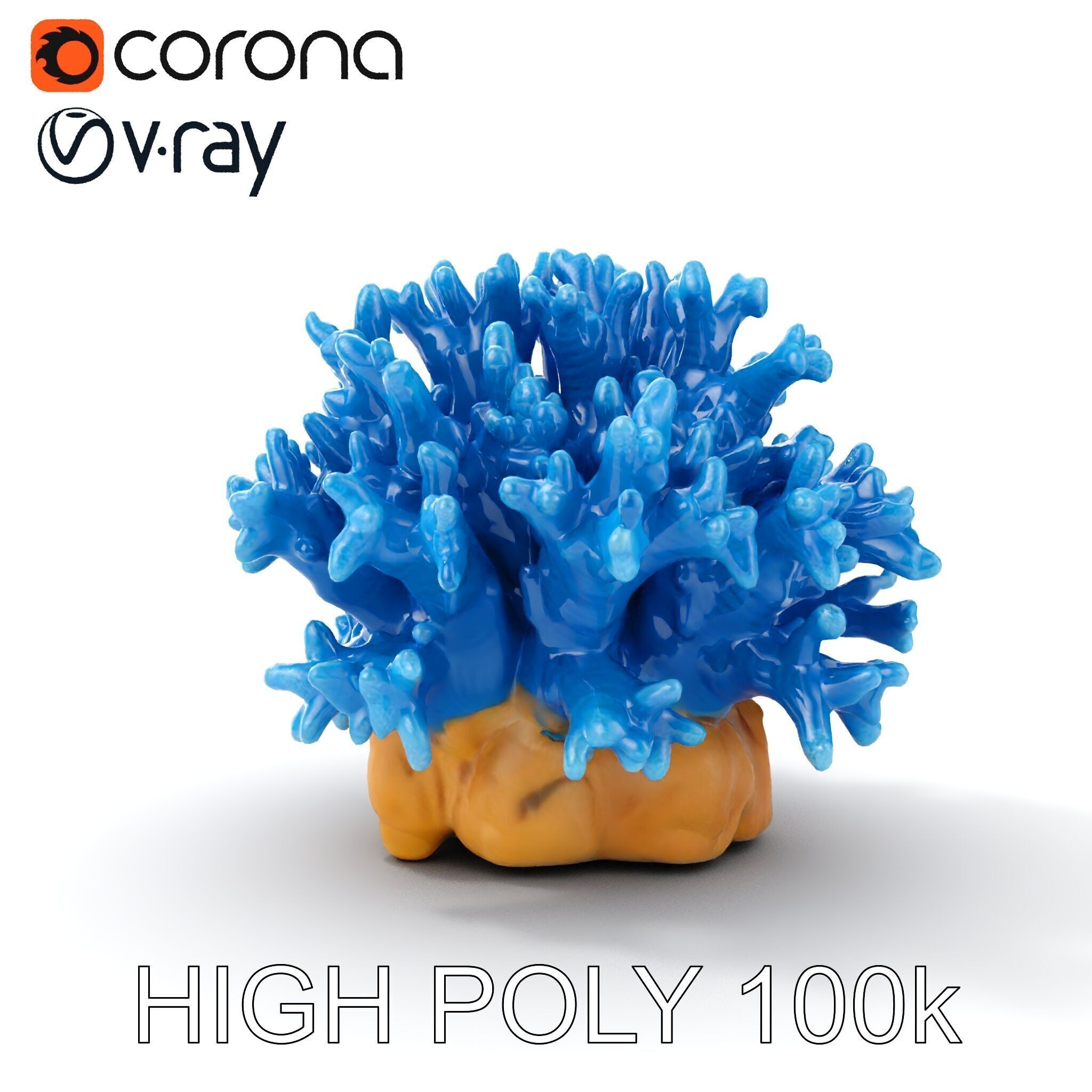 Blue Coral Reef Model Pack Low-poly 3D model_9
