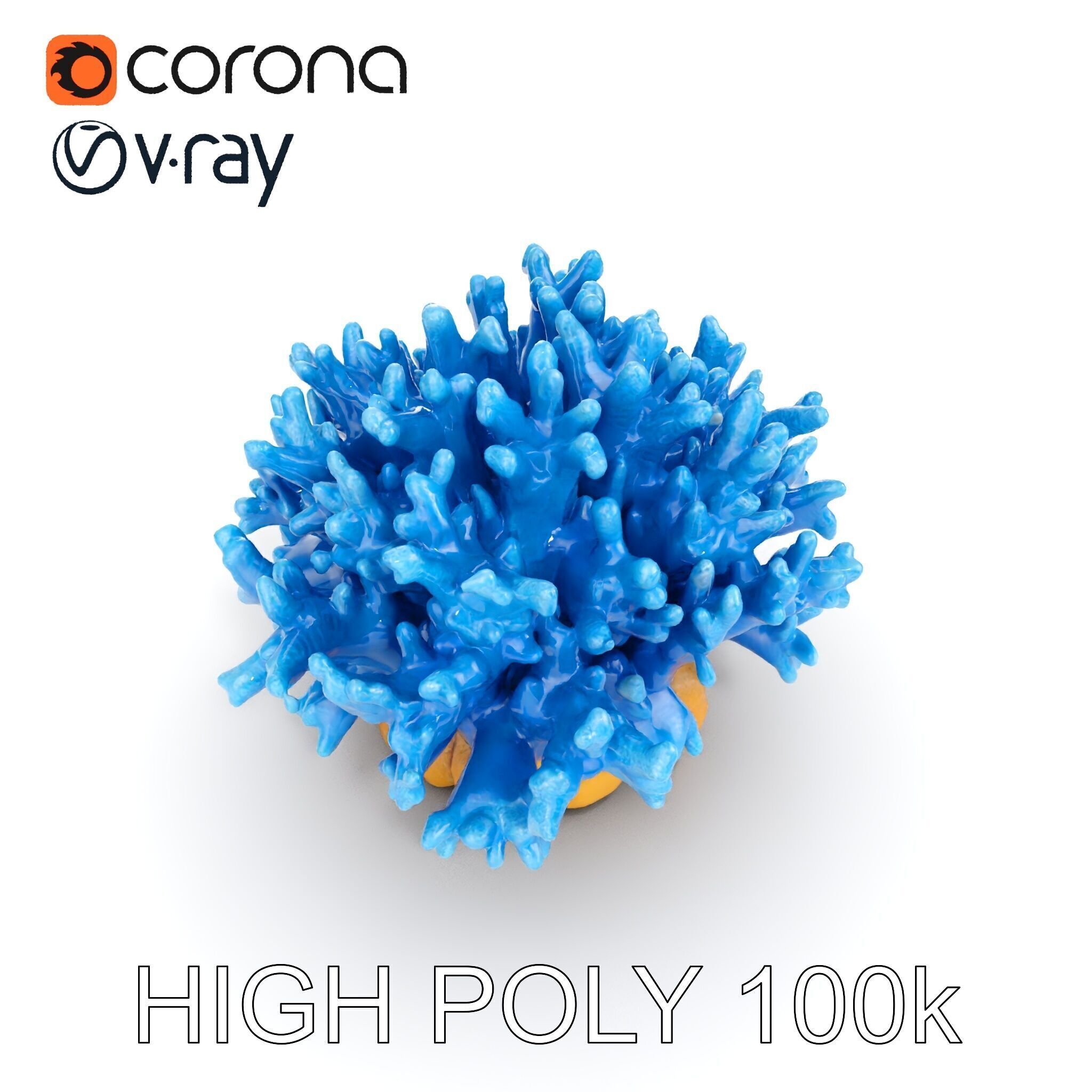 Blue Coral Reef Model Pack Low-poly 3D model_12