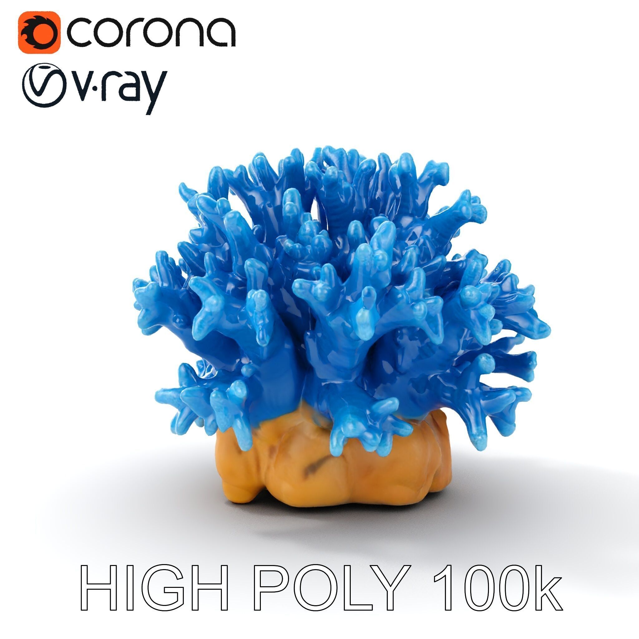Blue Coral Reef Model Pack Low-poly 3D model_18