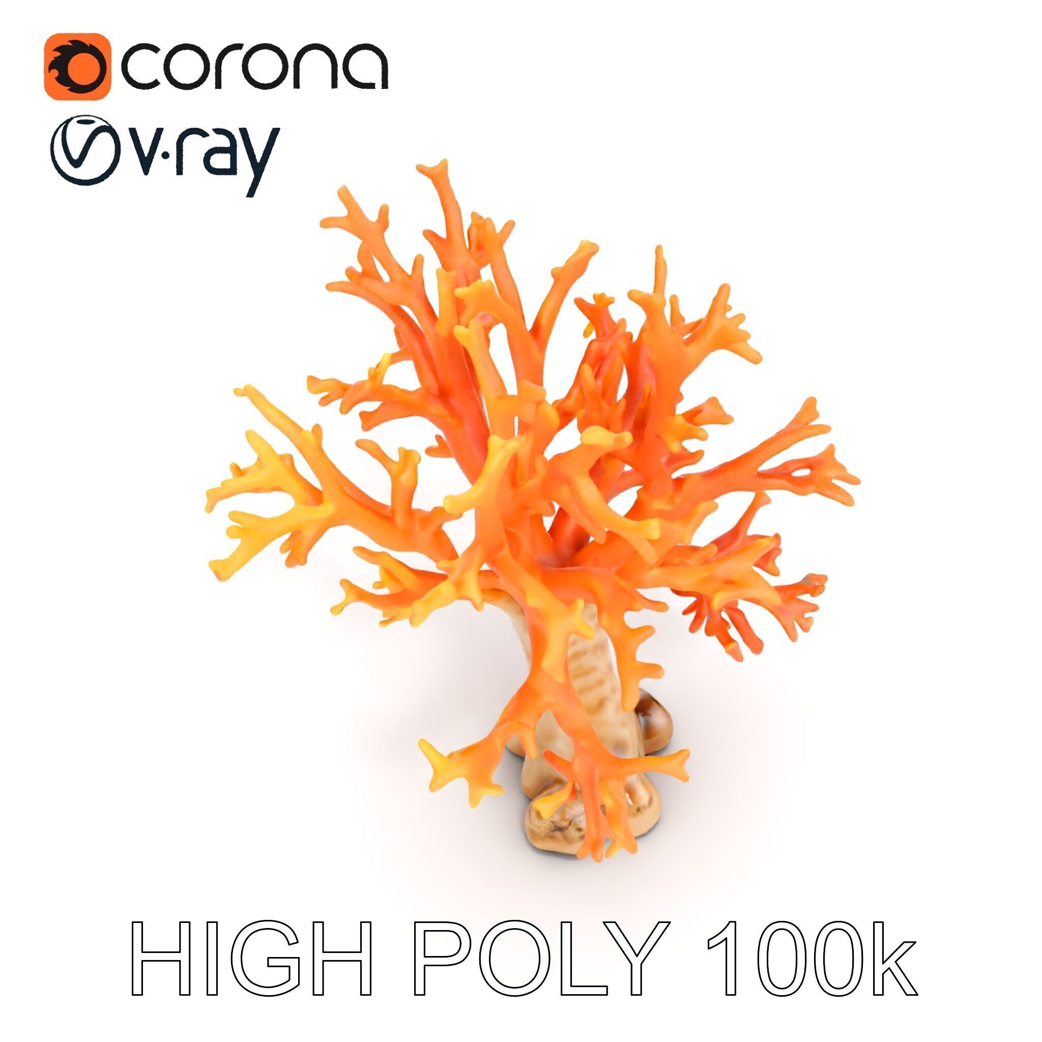 Colorful Coral Reef D Model Pack Low-poly 3D model_18