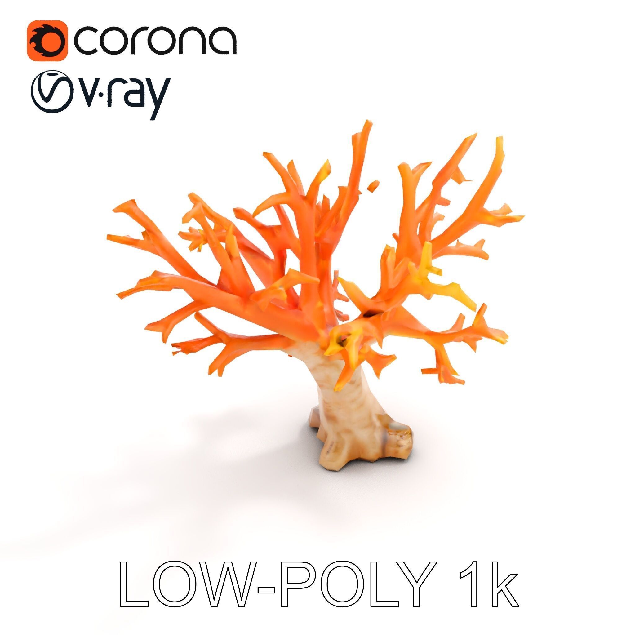 Colorful Coral Reef D Model Pack Low-poly 3D model_7