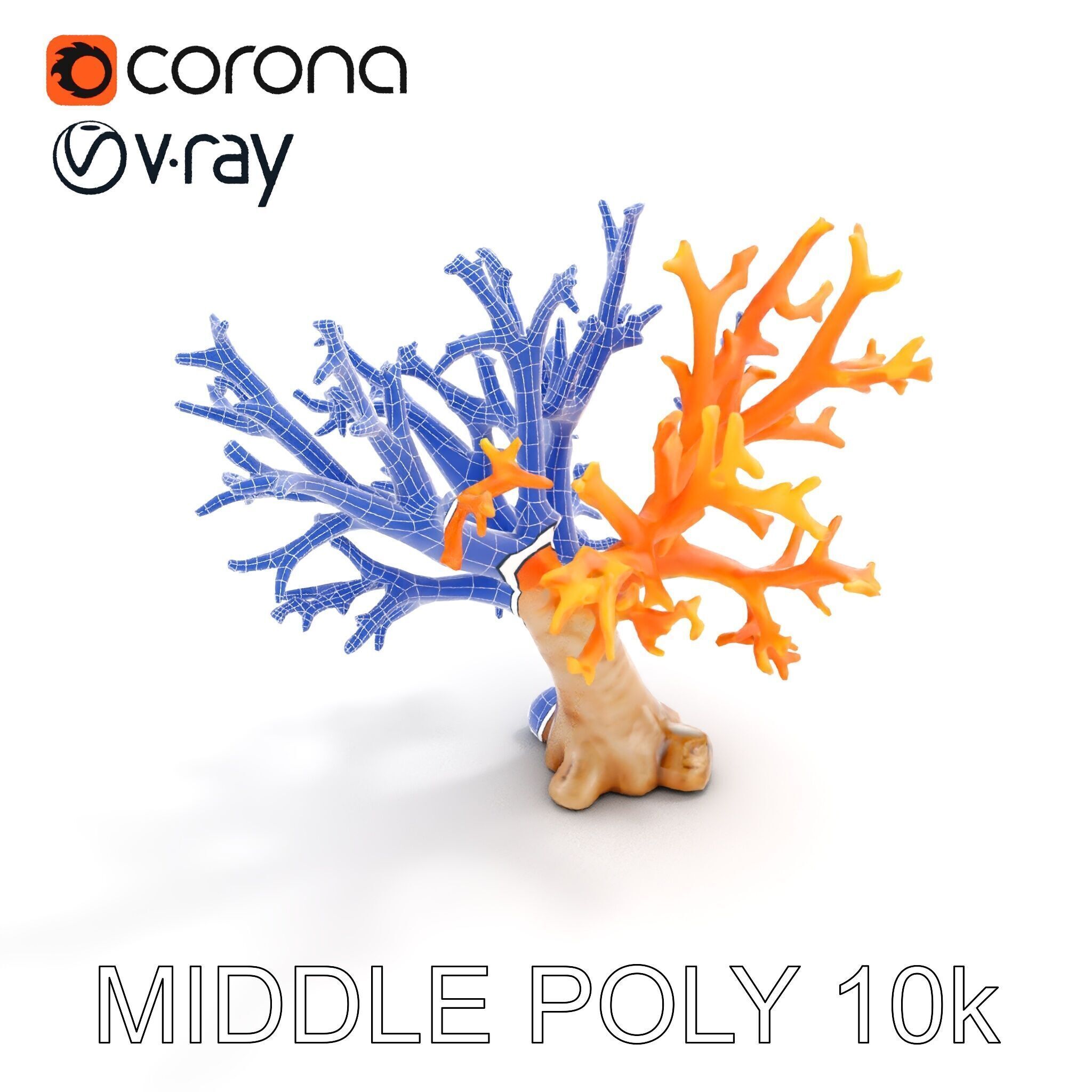 Colorful Coral Reef D Model Pack Low-poly 3D model_27
