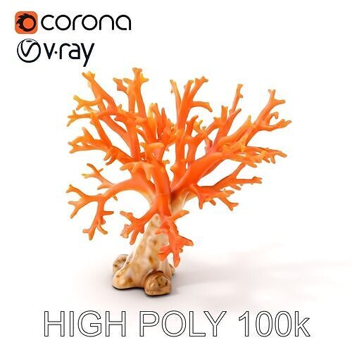 Colorful Coral Reef D Model Pack Low-poly 3D model
