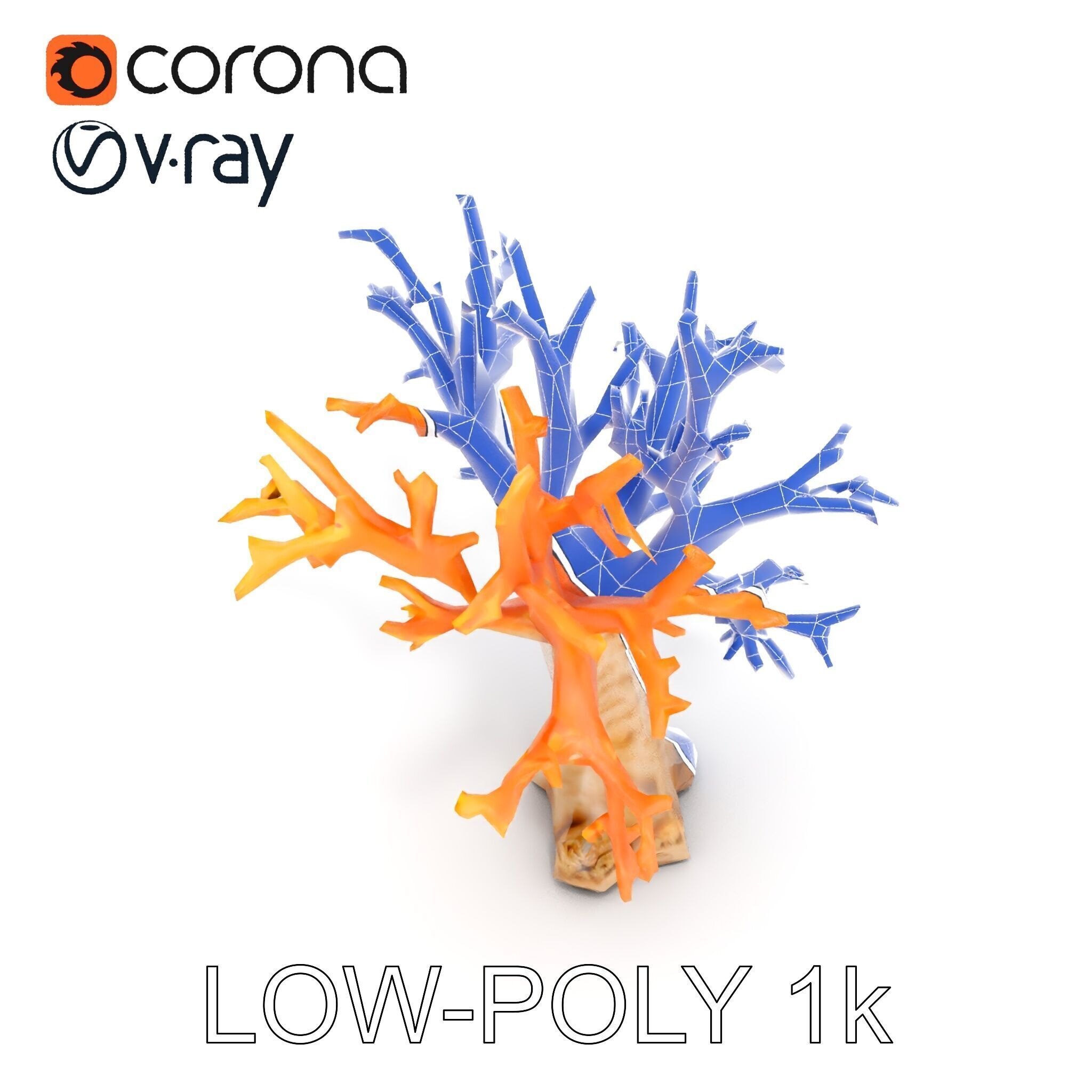 Colorful Coral Reef D Model Pack Low-poly 3D model_9
