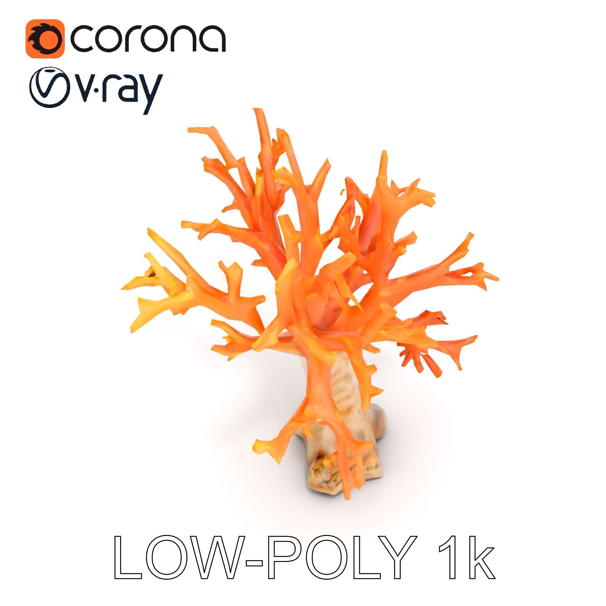 Colorful Coral Reef D Model Pack Low-poly 3D model_20