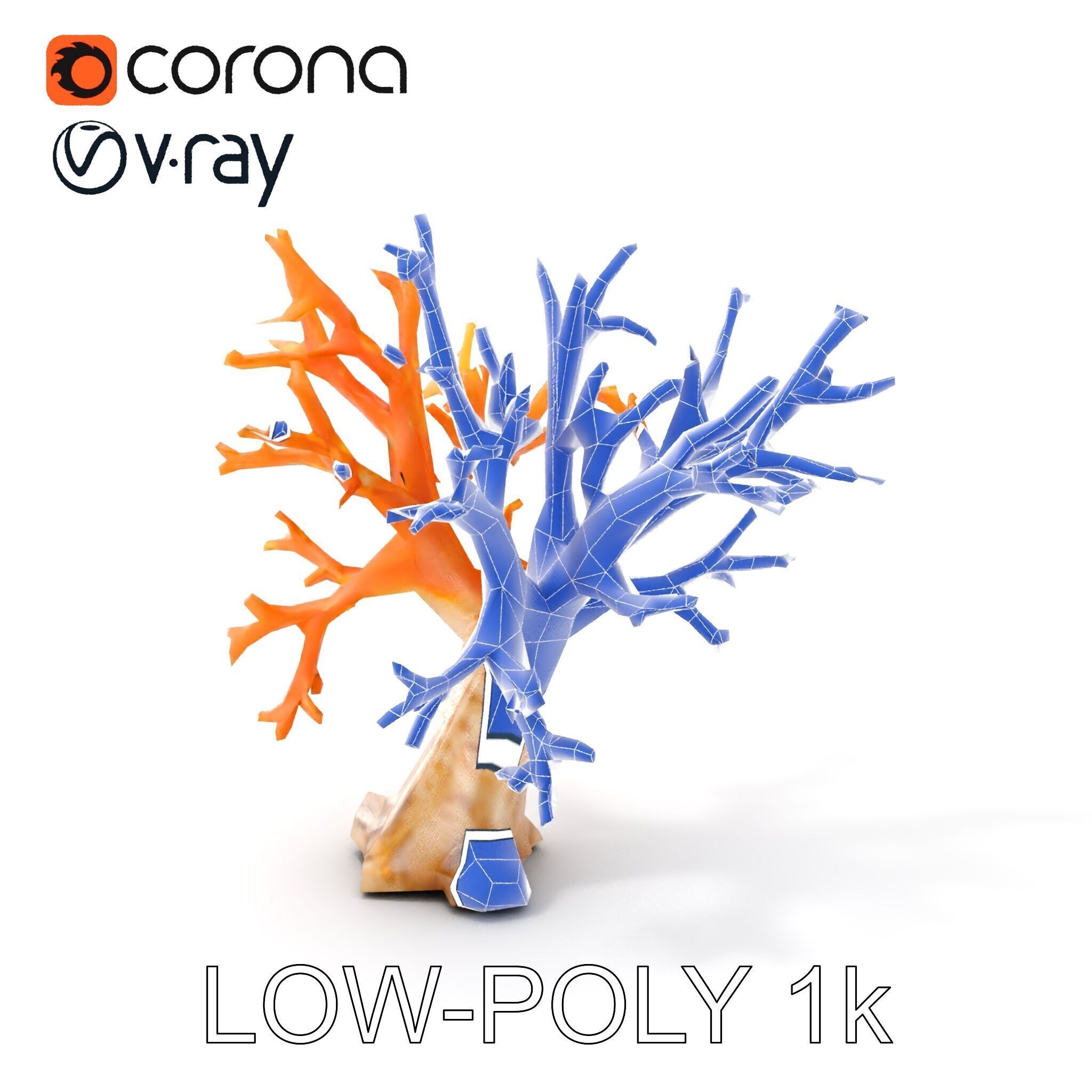 Colorful Coral Reef D Model Pack Low-poly 3D model_28