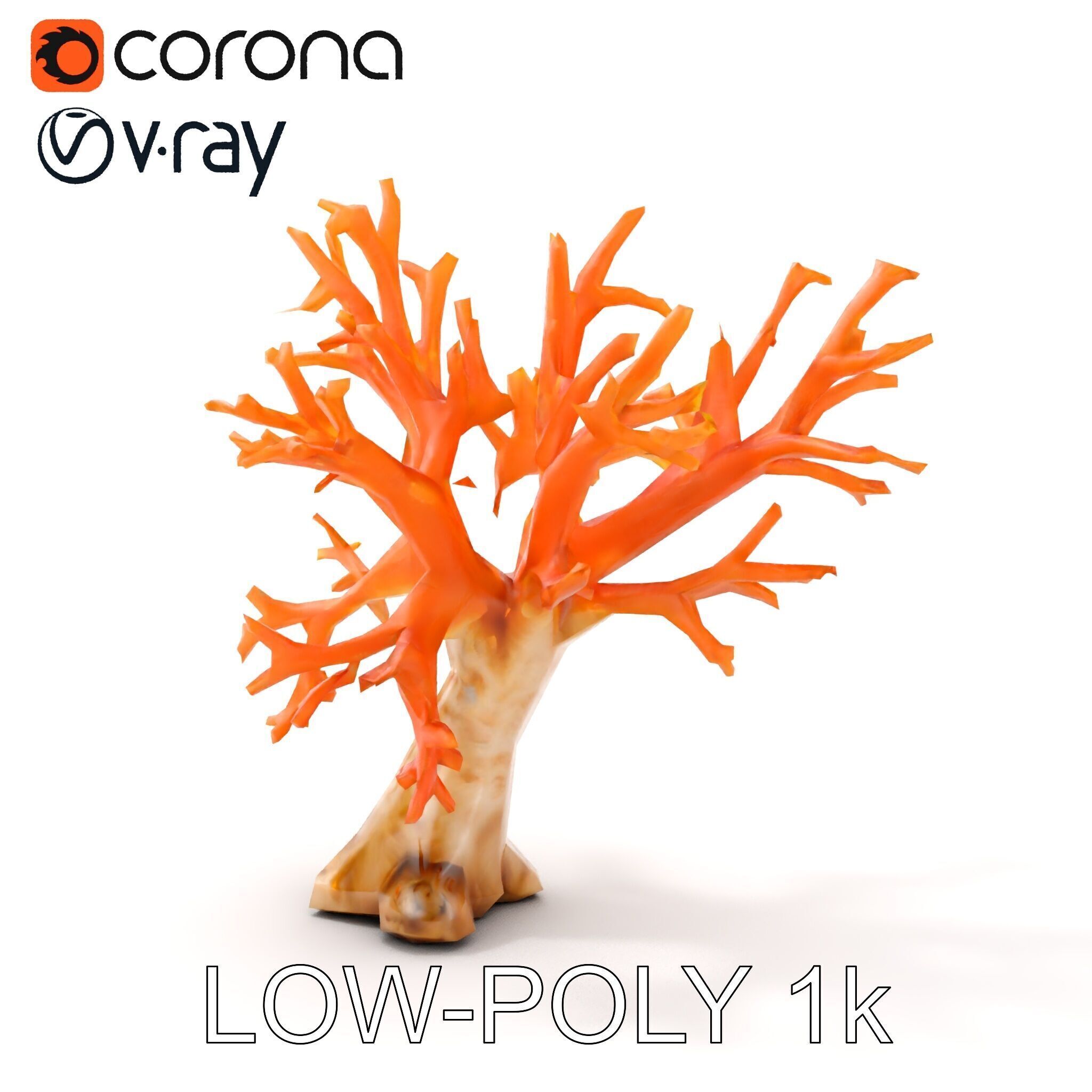 Colorful Coral Reef D Model Pack Low-poly 3D model_14