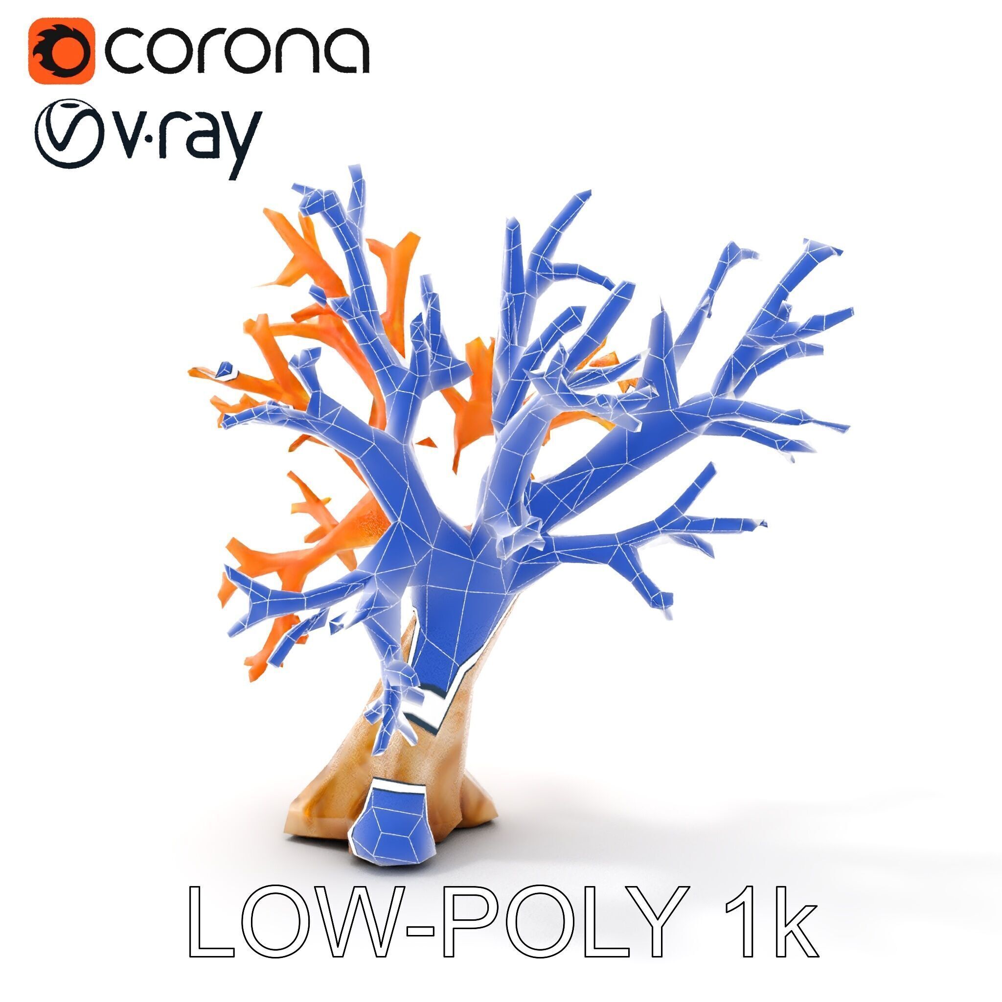 Colorful Coral Reef D Model Pack Low-poly 3D model_17