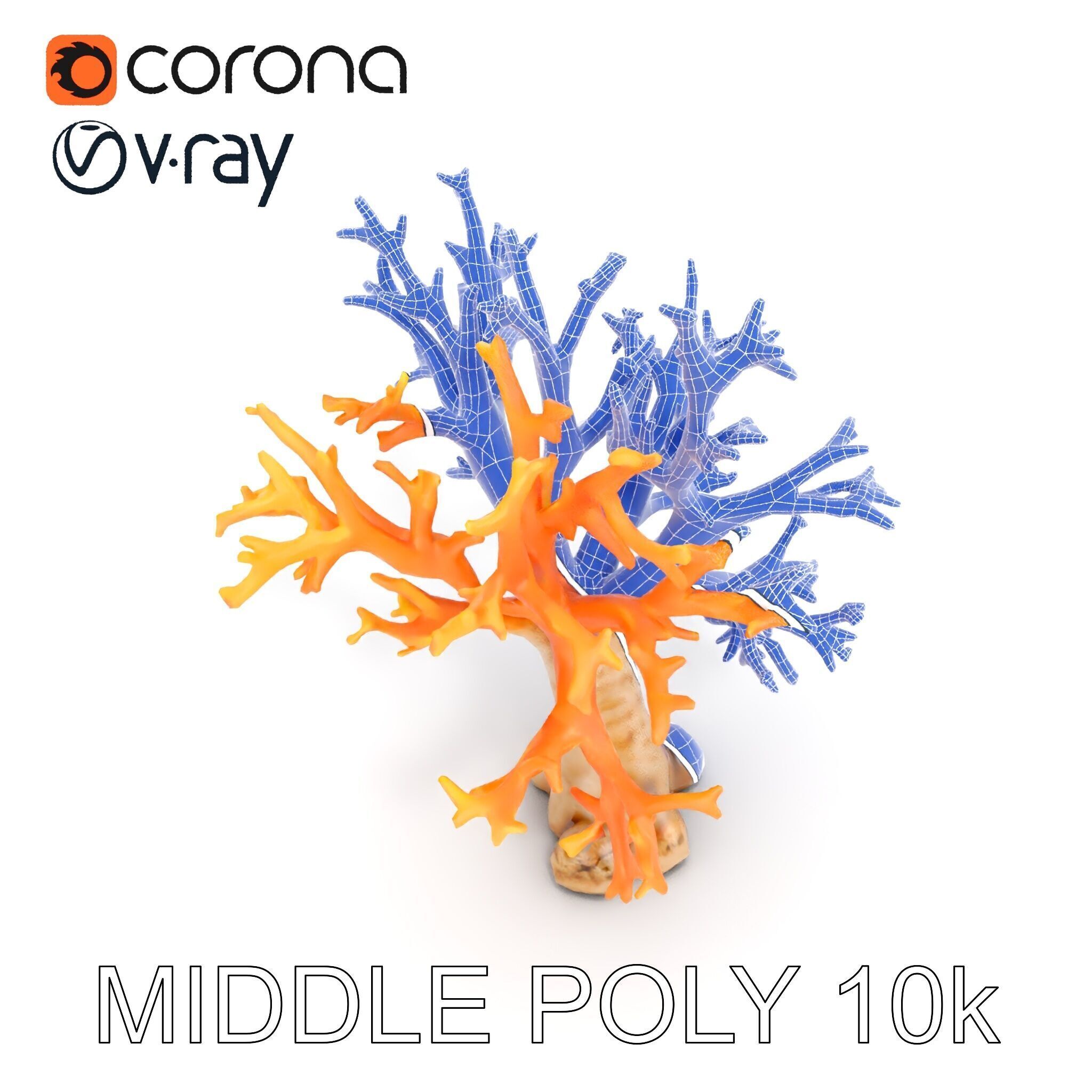 Colorful Coral Reef D Model Pack Low-poly 3D model_24