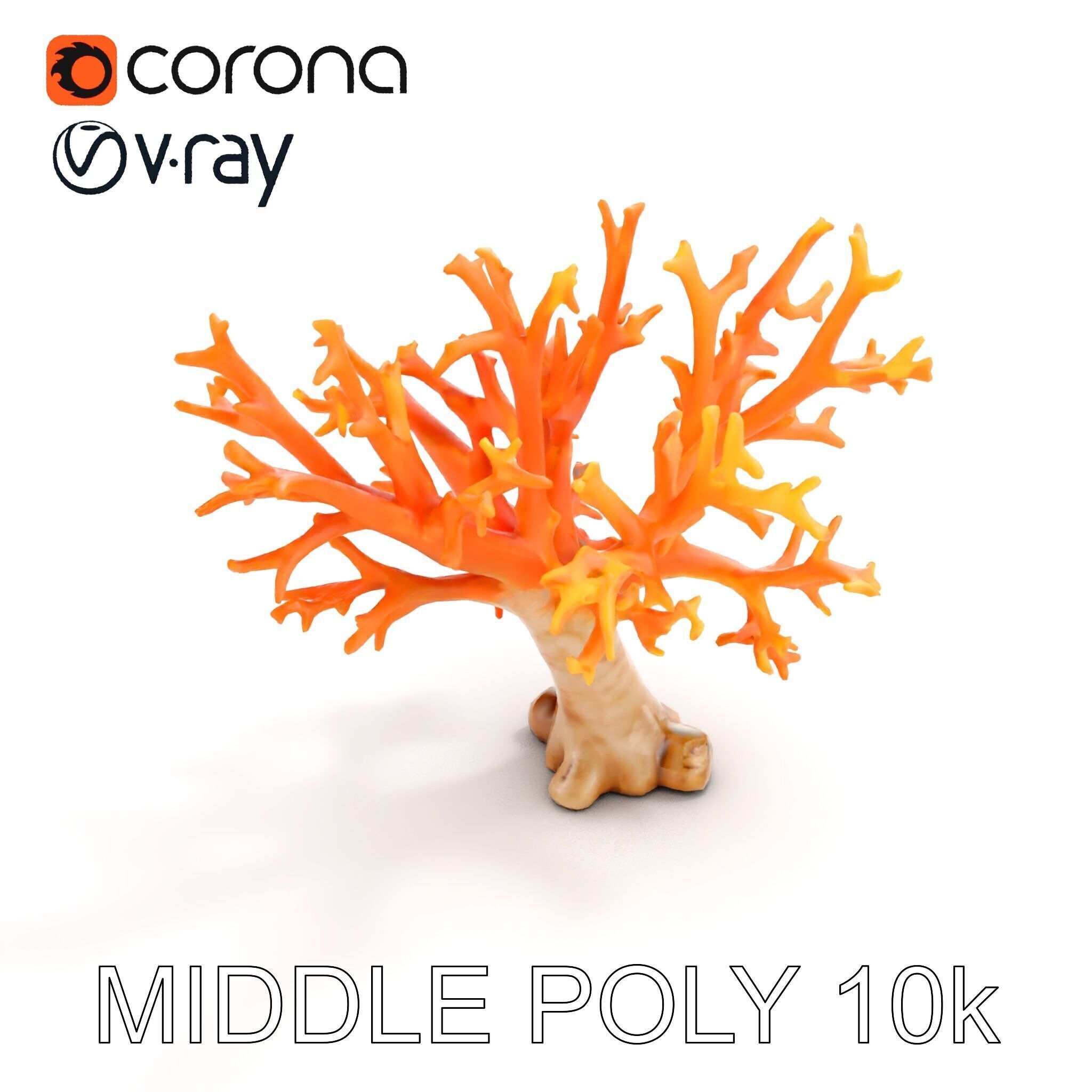 Colorful Coral Reef D Model Pack Low-poly 3D model_6