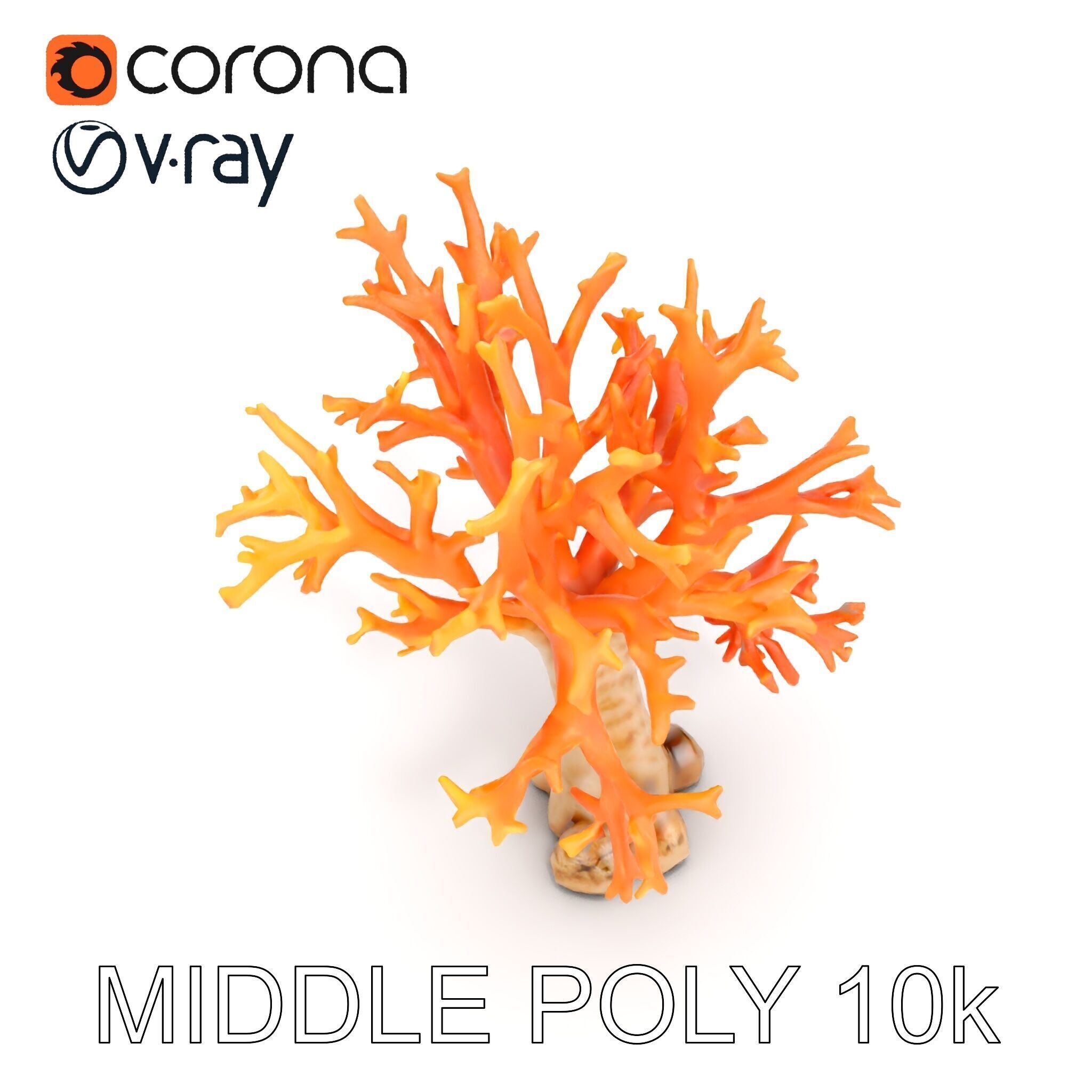 Colorful Coral Reef D Model Pack Low-poly 3D model_8