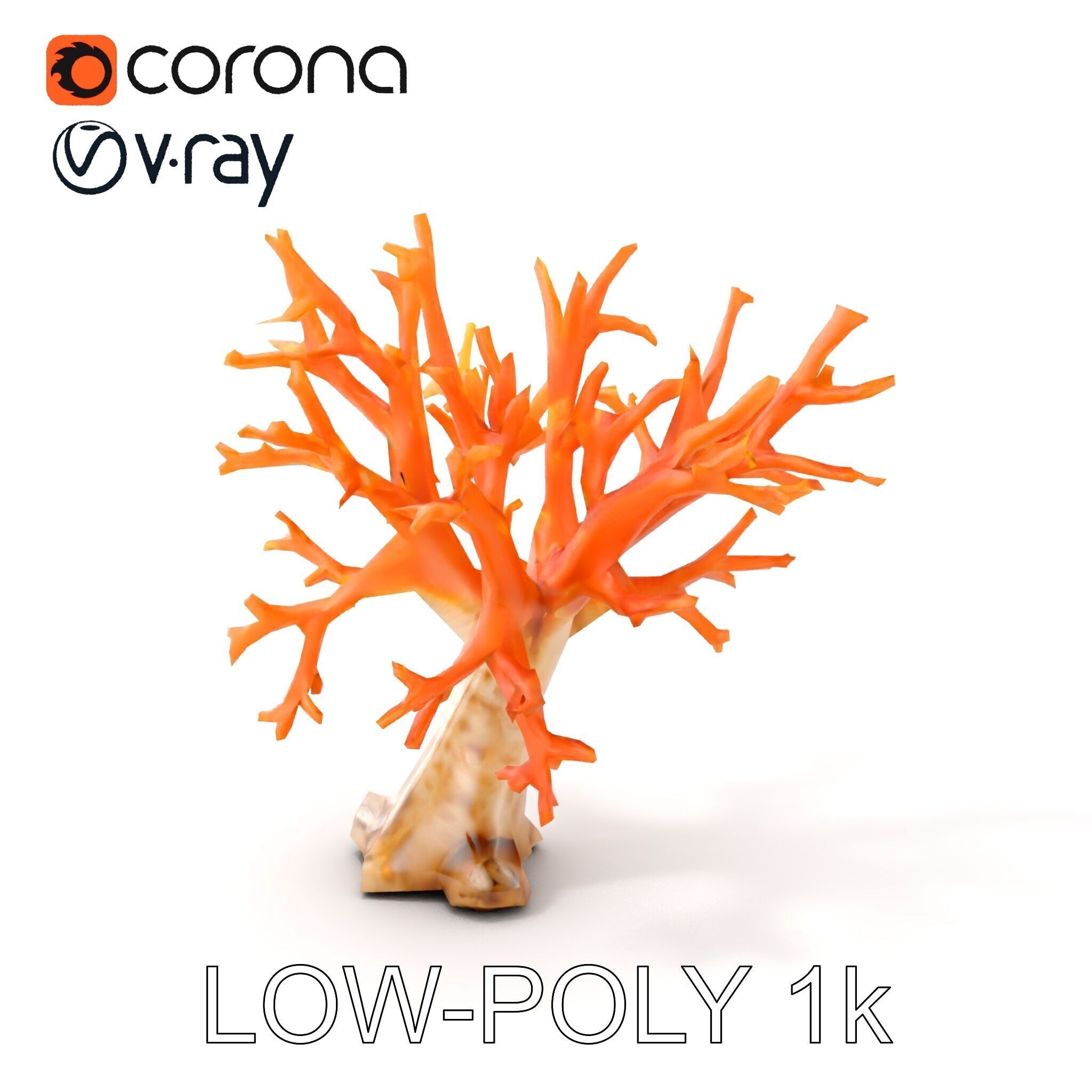 Colorful Coral Reef D Model Pack Low-poly 3D model_12