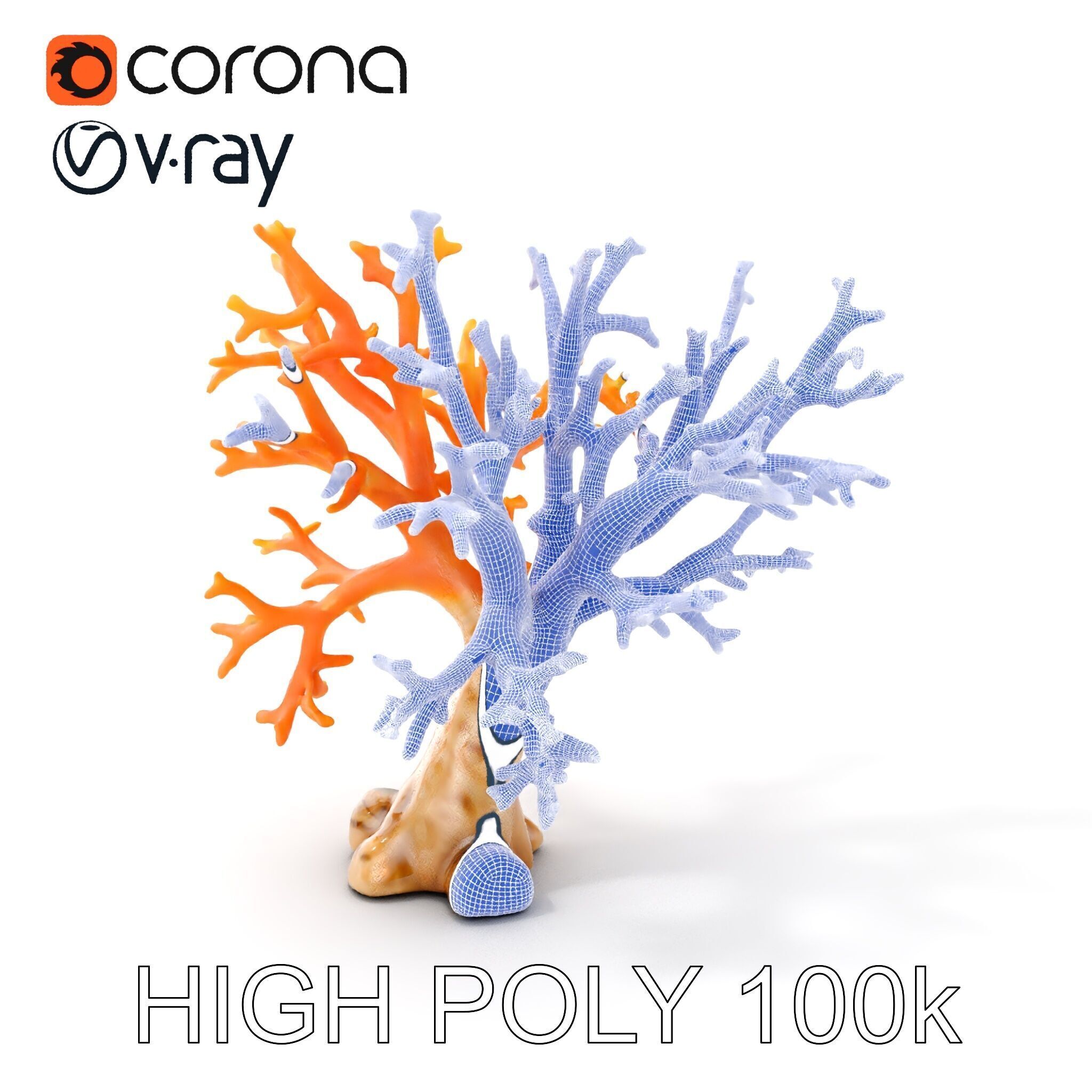Colorful Coral Reef D Model Pack Low-poly 3D model_4