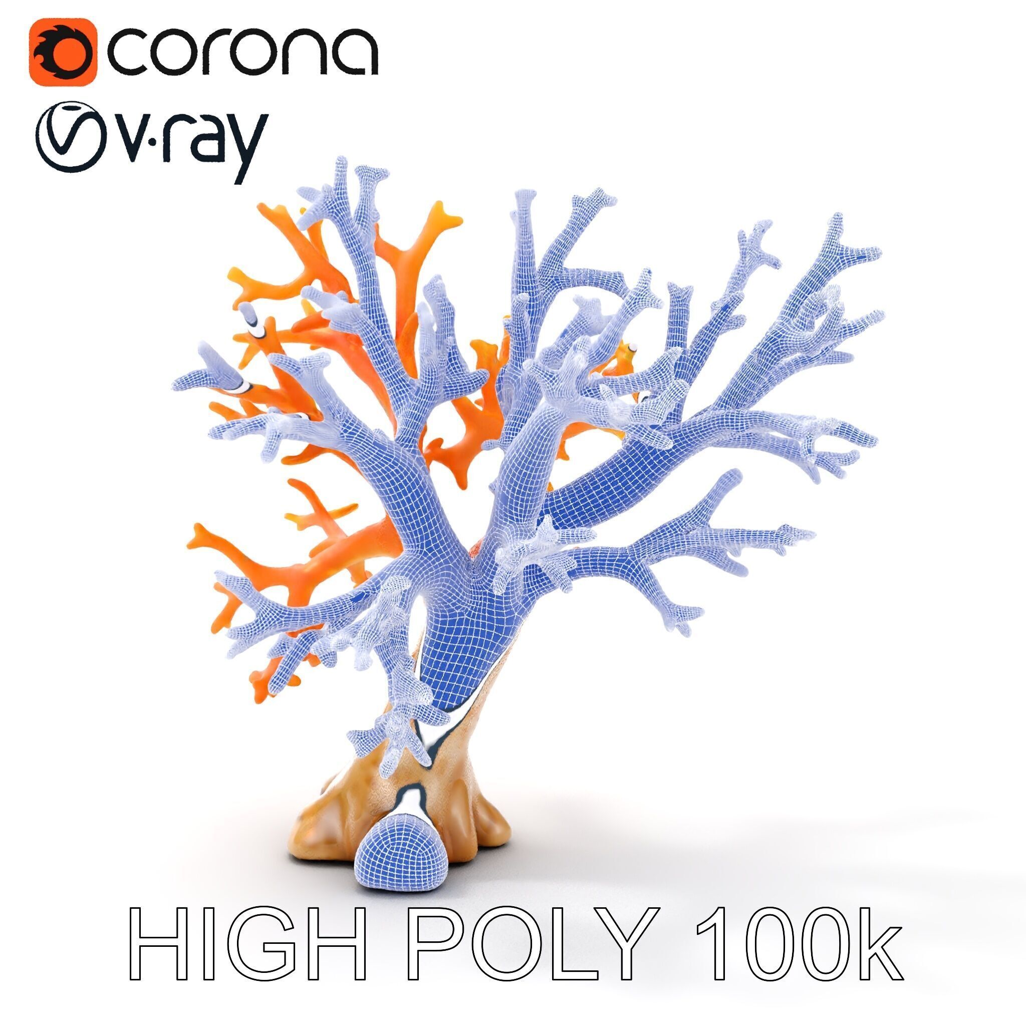 Colorful Coral Reef D Model Pack Low-poly 3D model_32