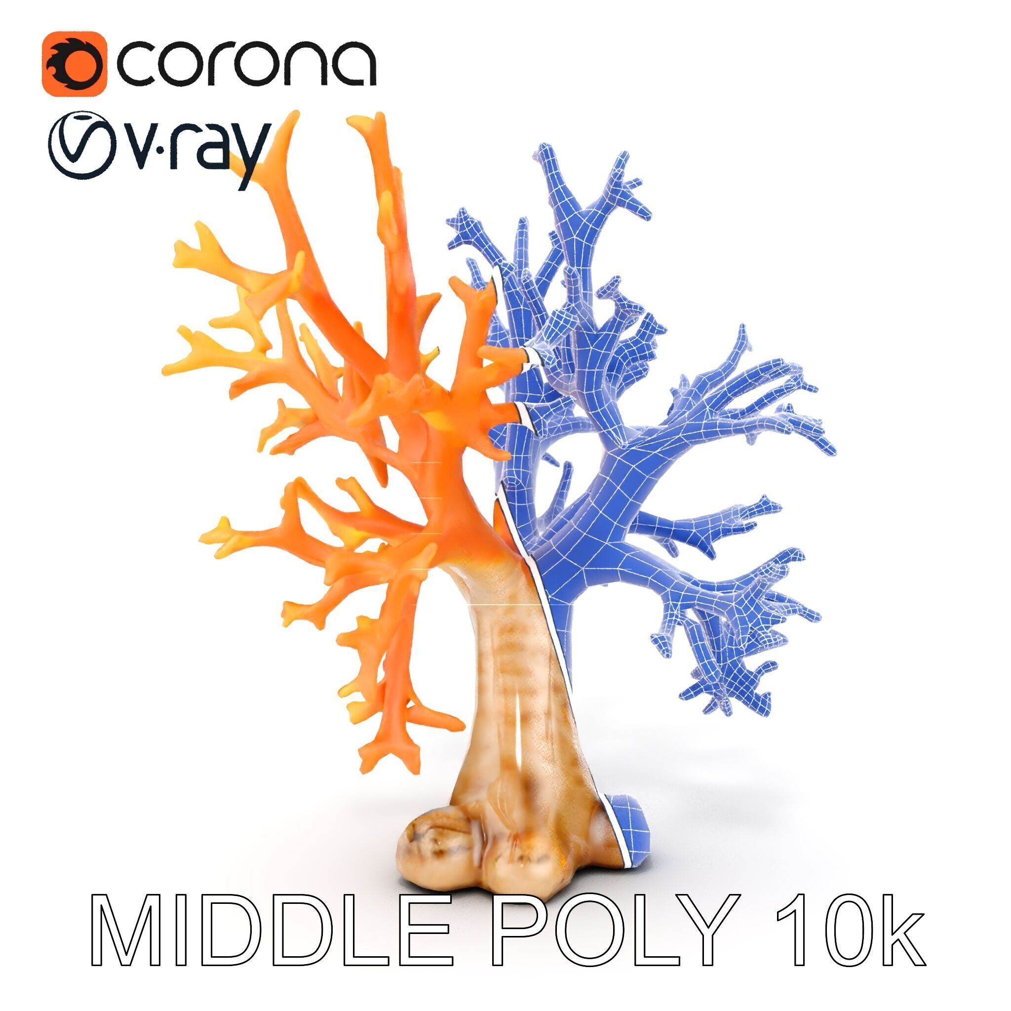 Colorful Coral Reef D Model Pack Low-poly 3D model_30