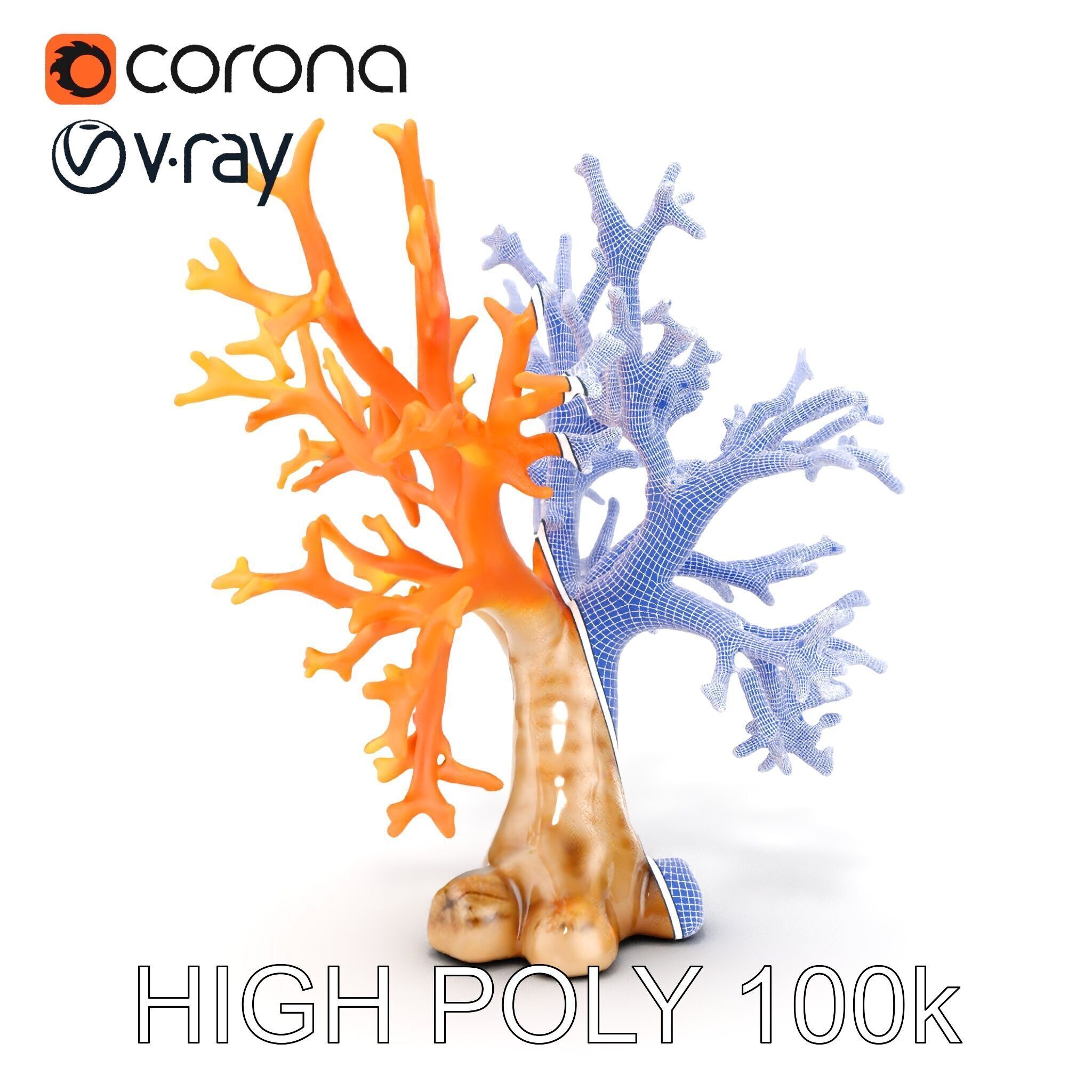 Colorful Coral Reef D Model Pack Low-poly 3D model_35