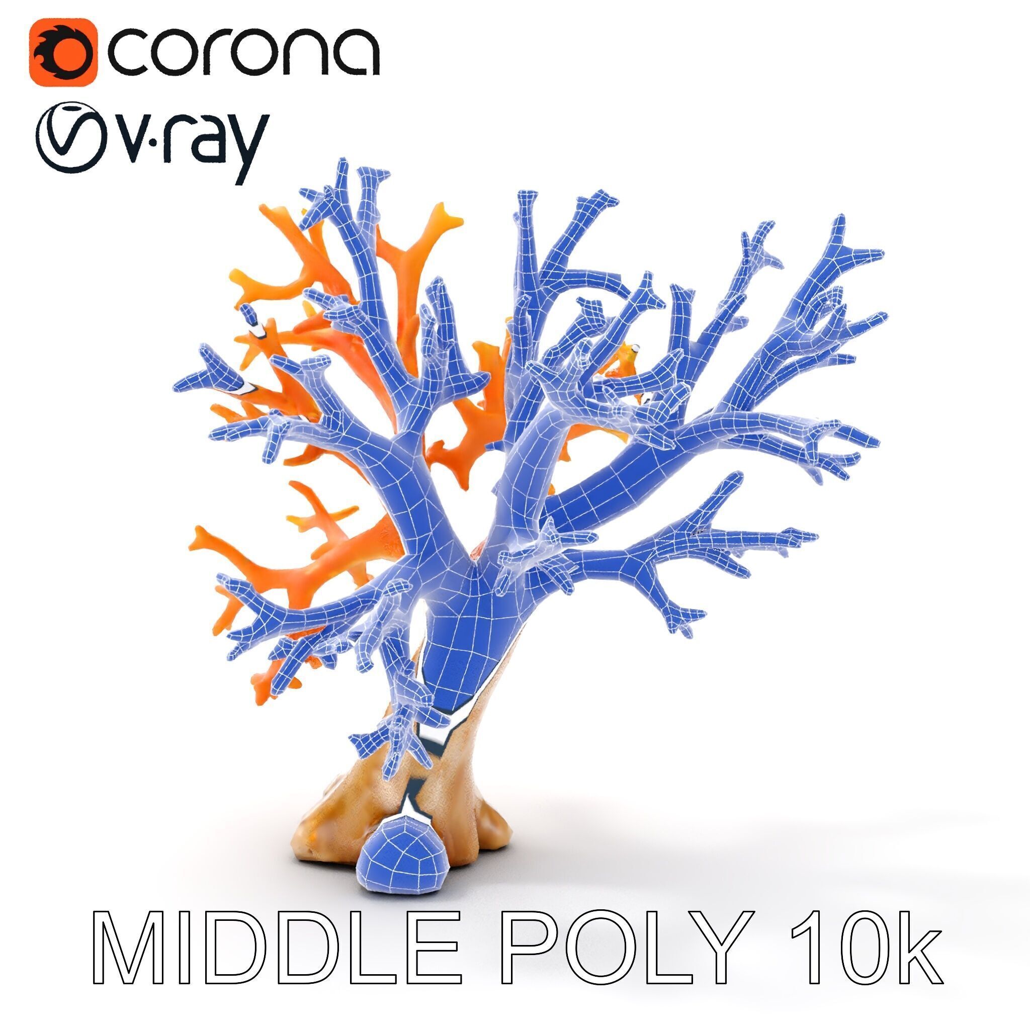 Colorful Coral Reef D Model Pack Low-poly 3D model_22