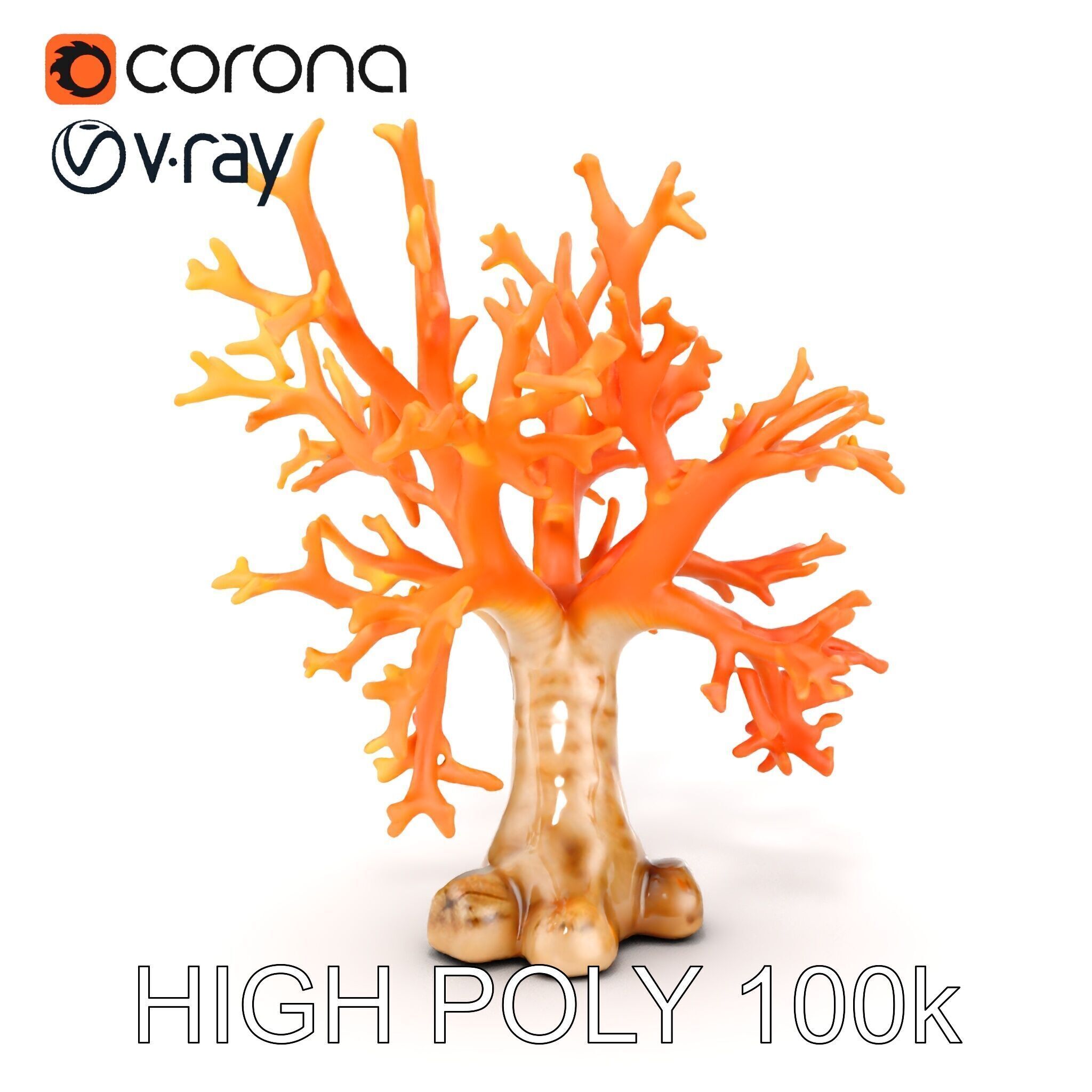 Colorful Coral Reef D Model Pack Low-poly 3D model_21