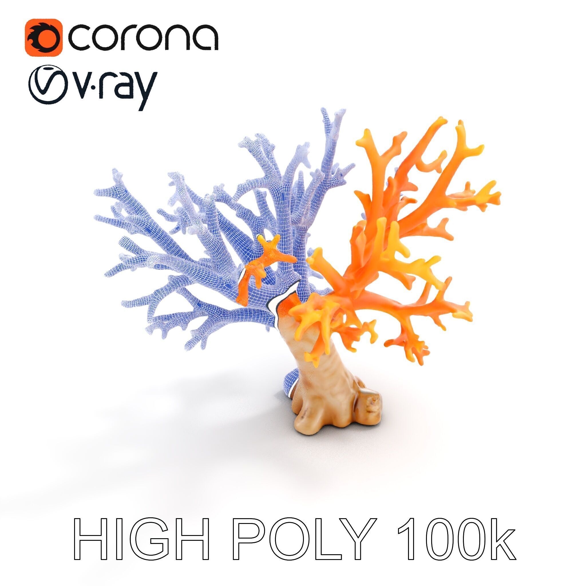 Colorful Coral Reef D Model Pack Low-poly 3D model_26