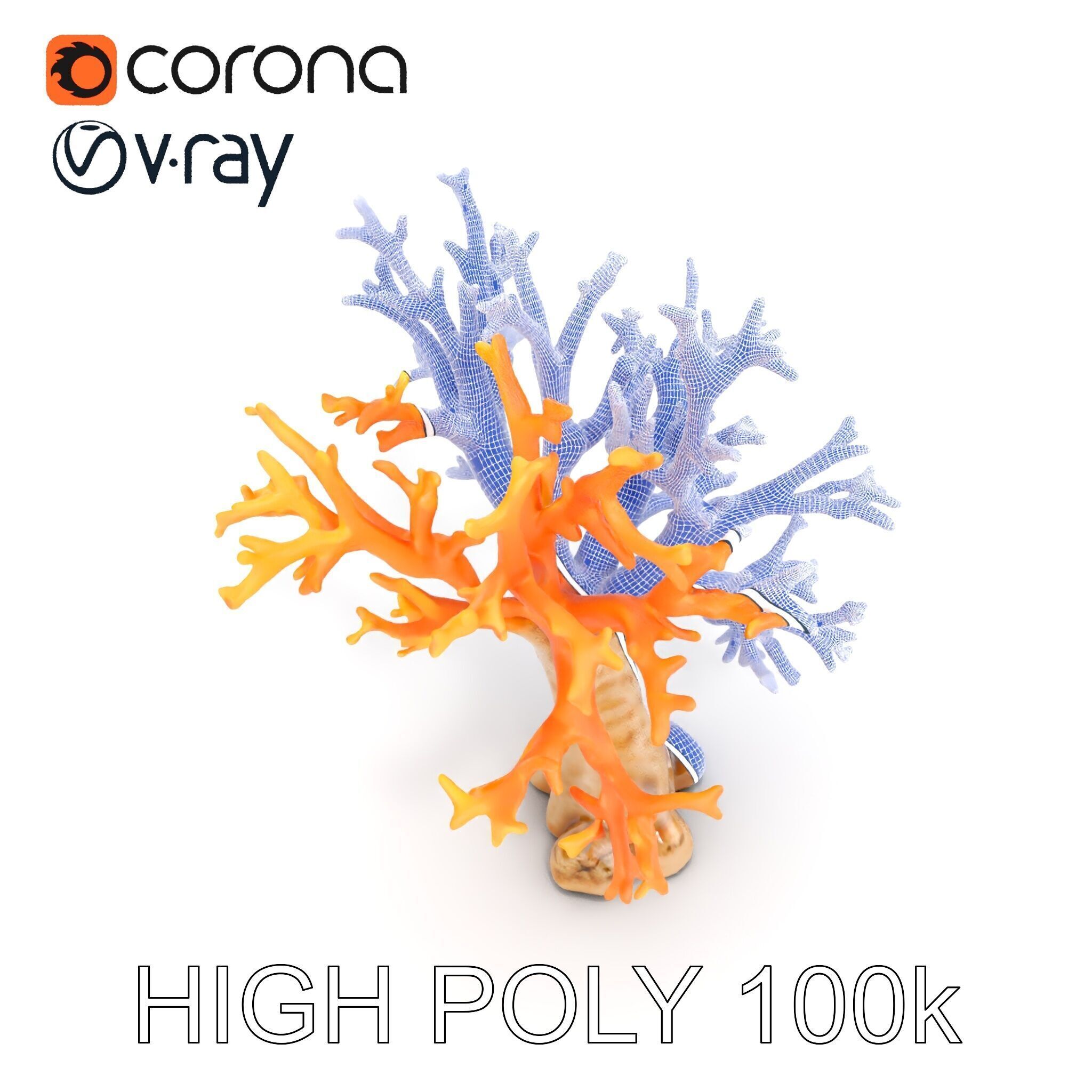 Colorful Coral Reef D Model Pack Low-poly 3D model_29