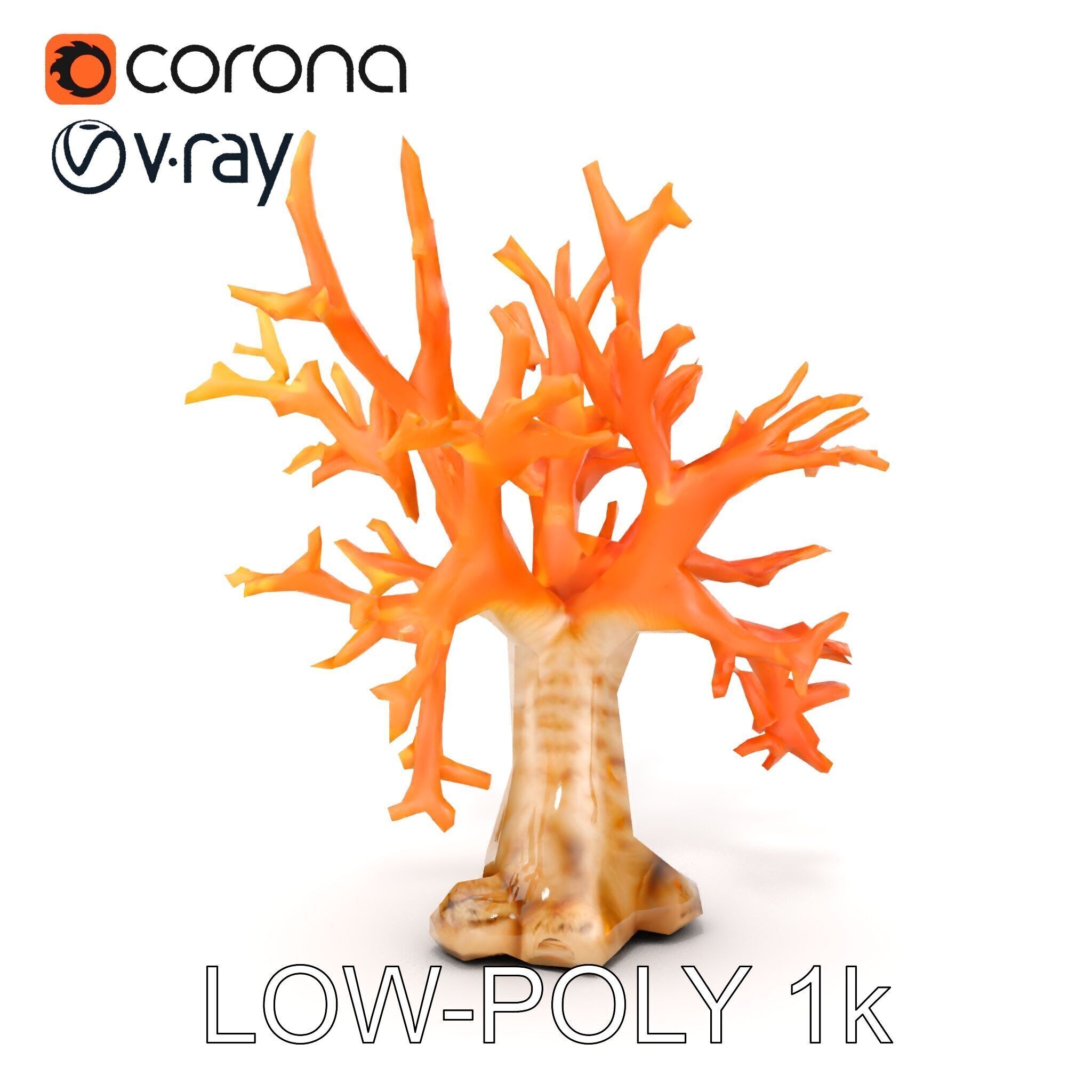 Colorful Coral Reef D Model Pack Low-poly 3D model_25