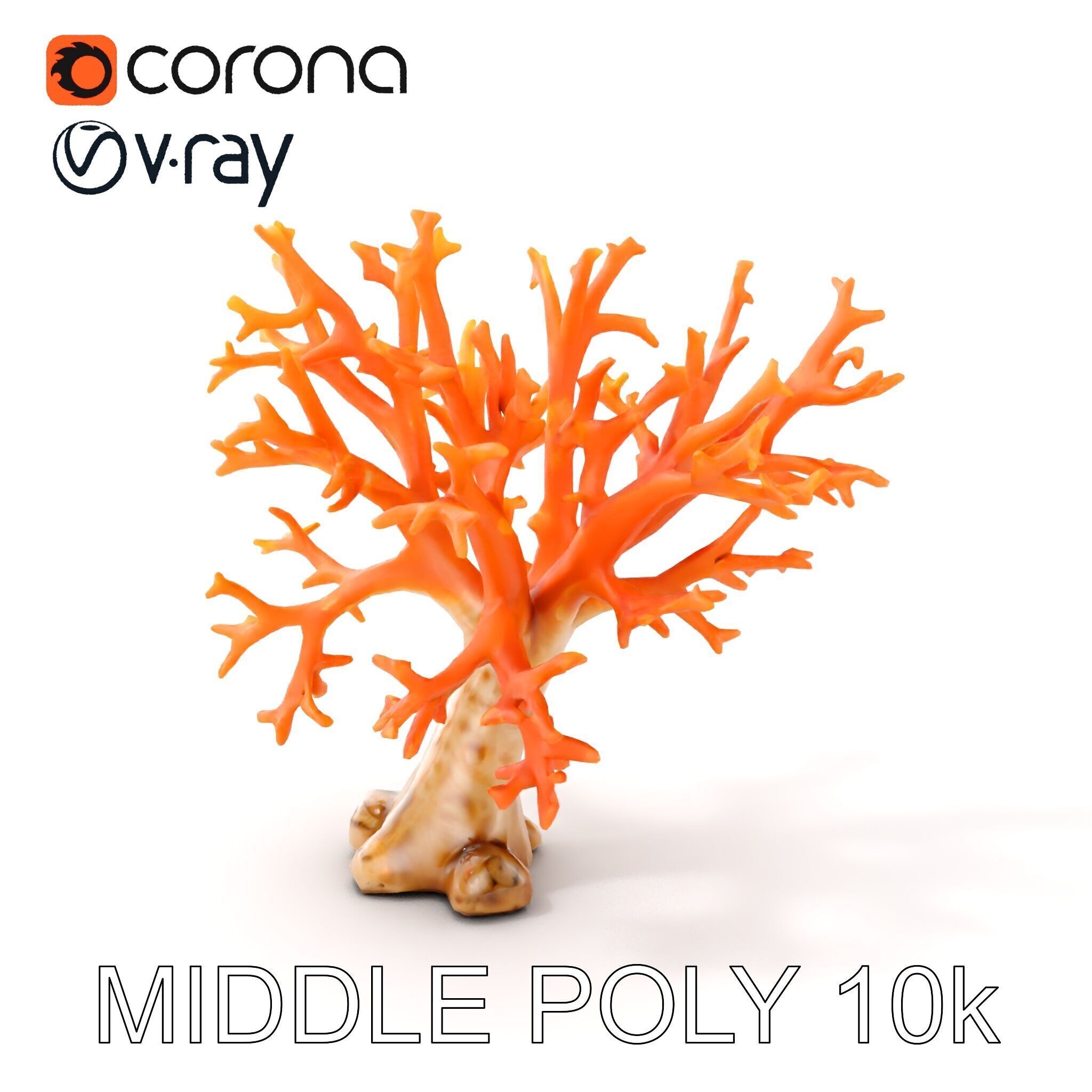 Colorful Coral Reef D Model Pack Low-poly 3D model_11