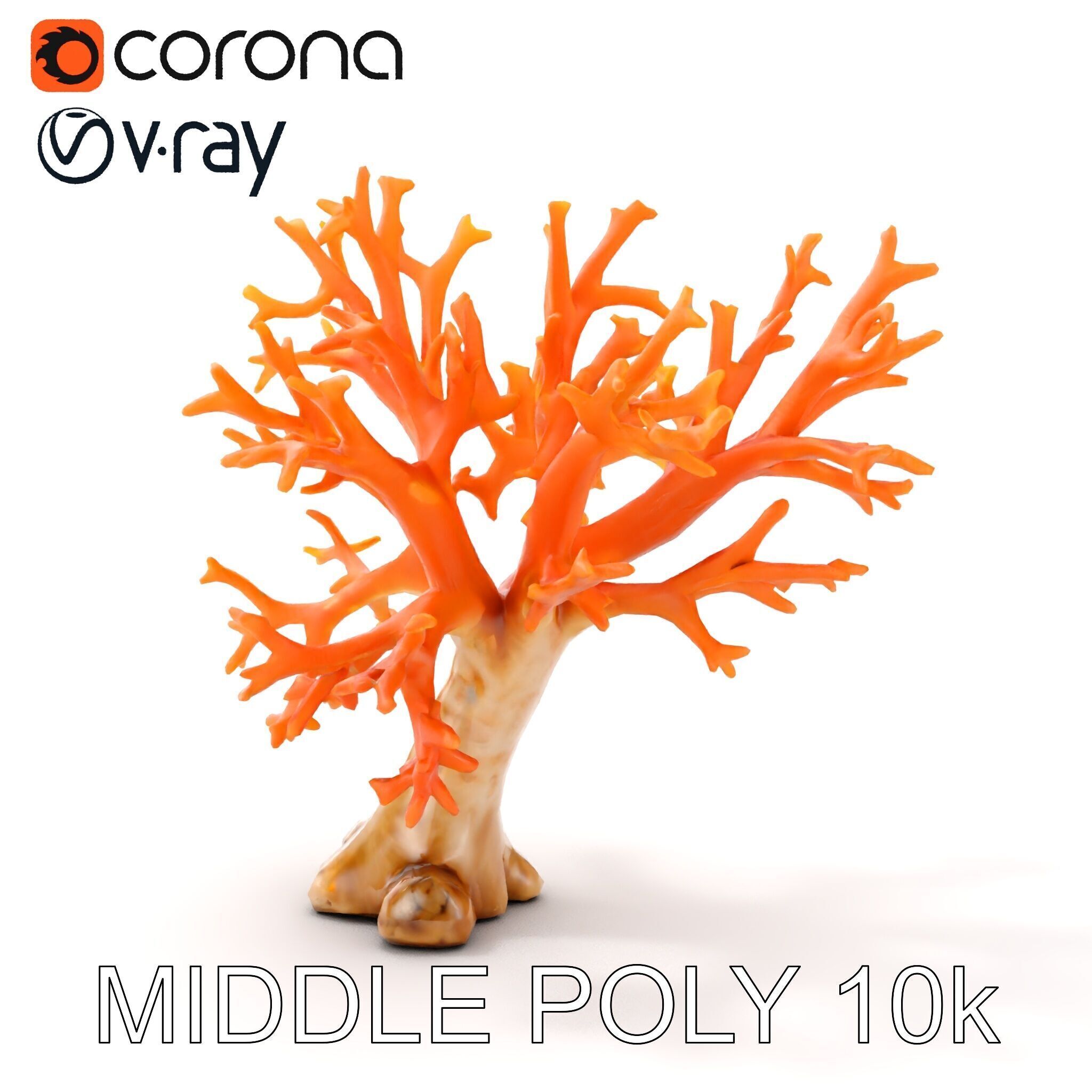 Colorful Coral Reef D Model Pack Low-poly 3D model_13