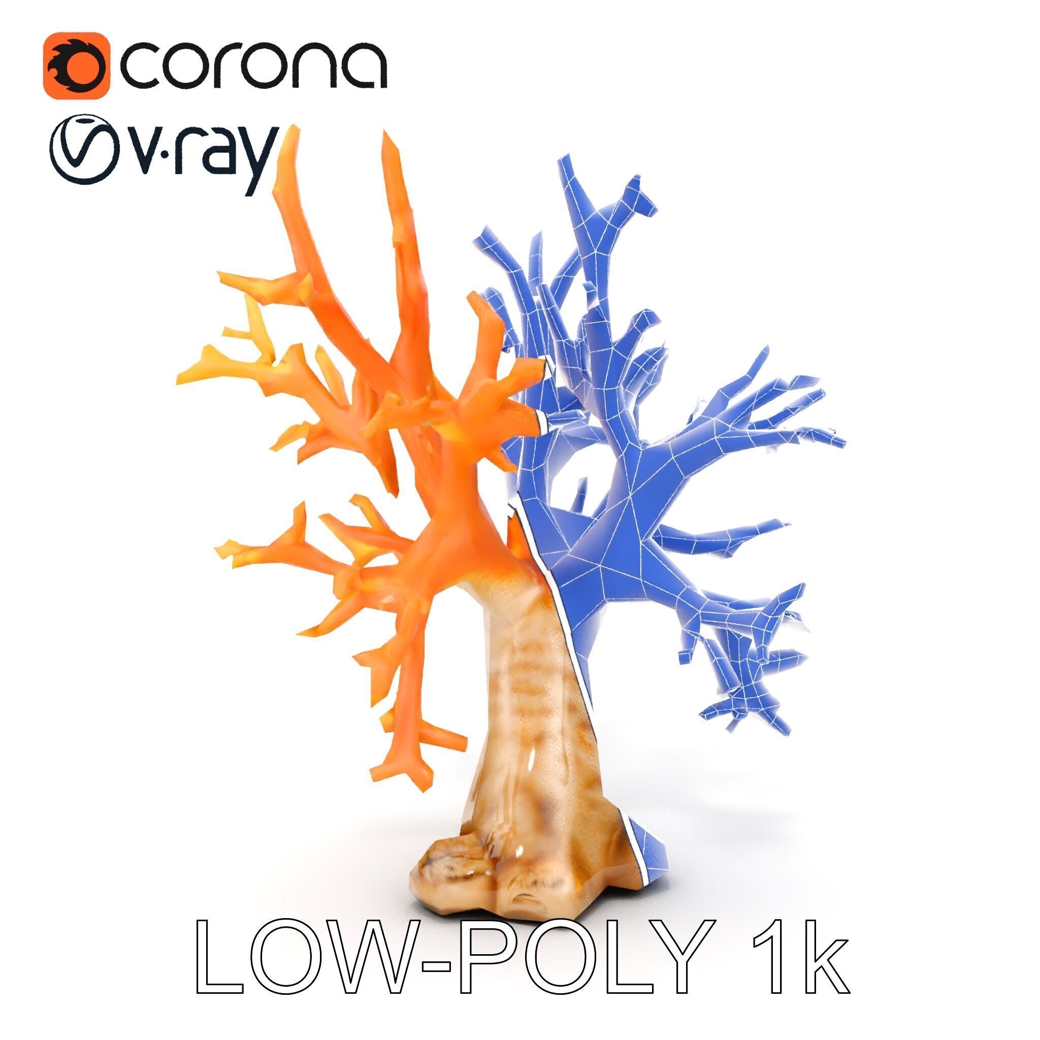 Colorful Coral Reef D Model Pack Low-poly 3D model_31