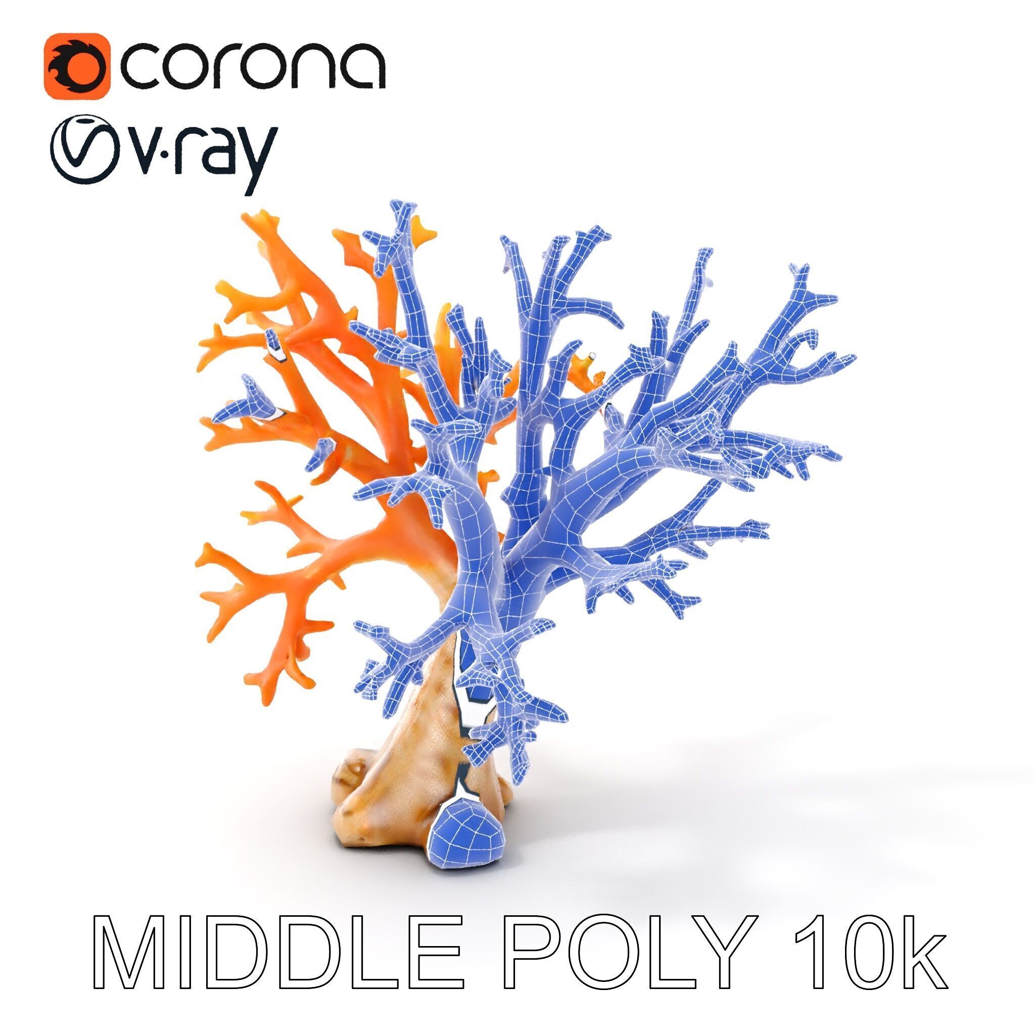 Colorful Coral Reef D Model Pack Low-poly 3D model_16