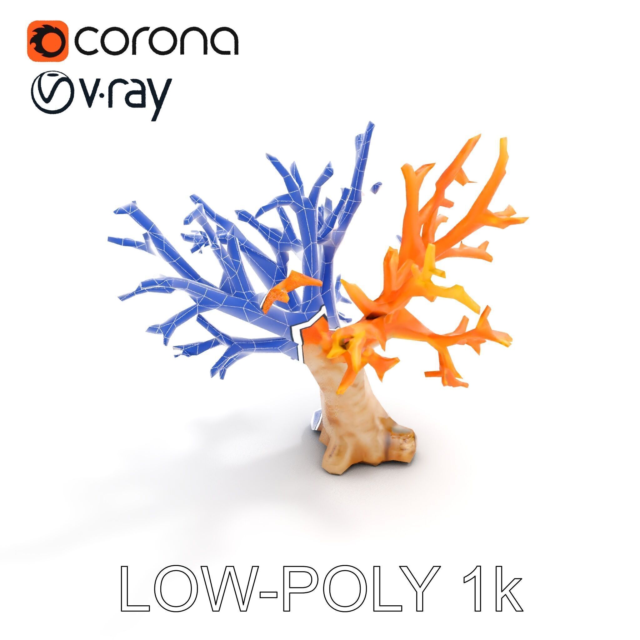 Colorful Coral Reef D Model Pack Low-poly 3D model_23