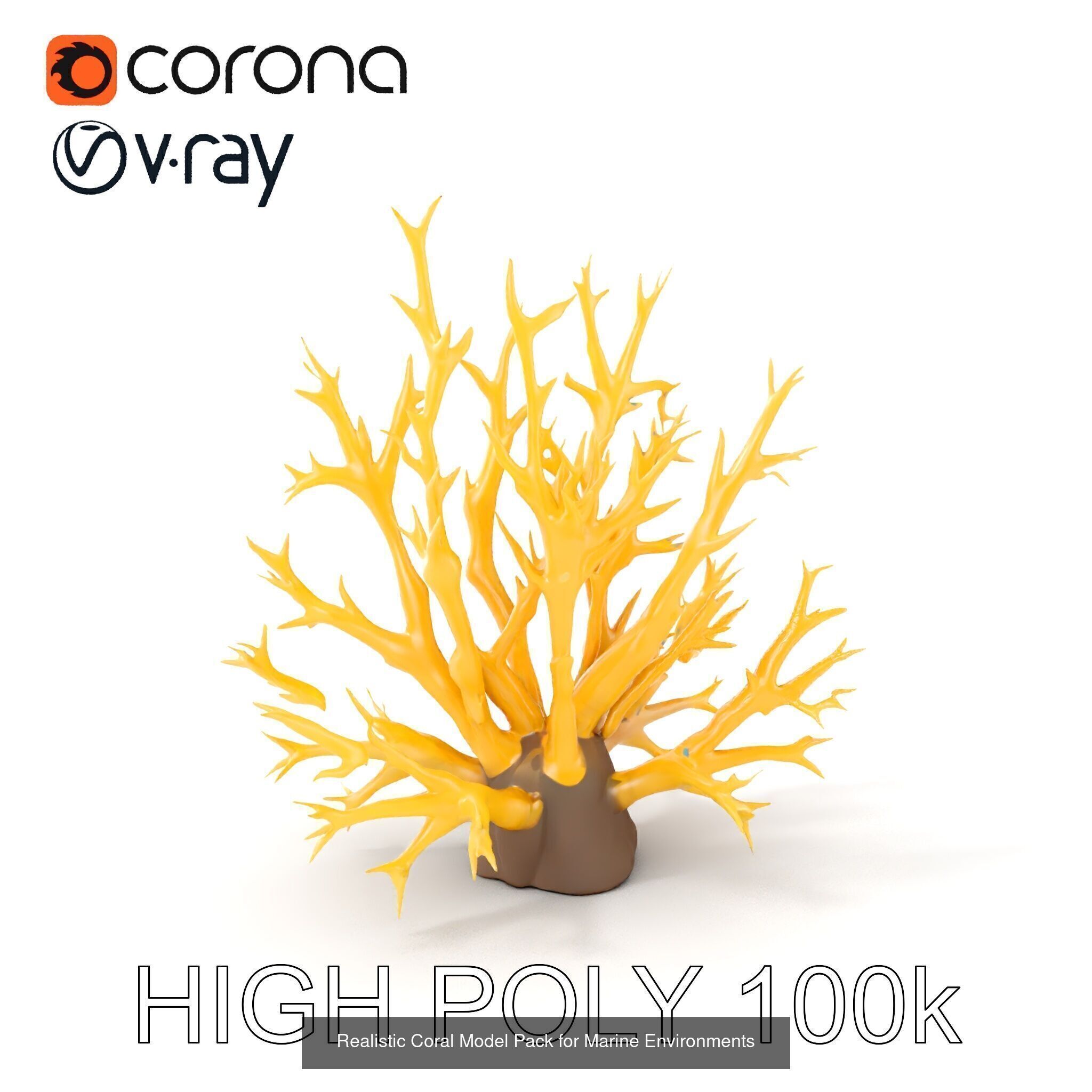 Coral Reefs 3D Models Pack 3D Model Collection_24
