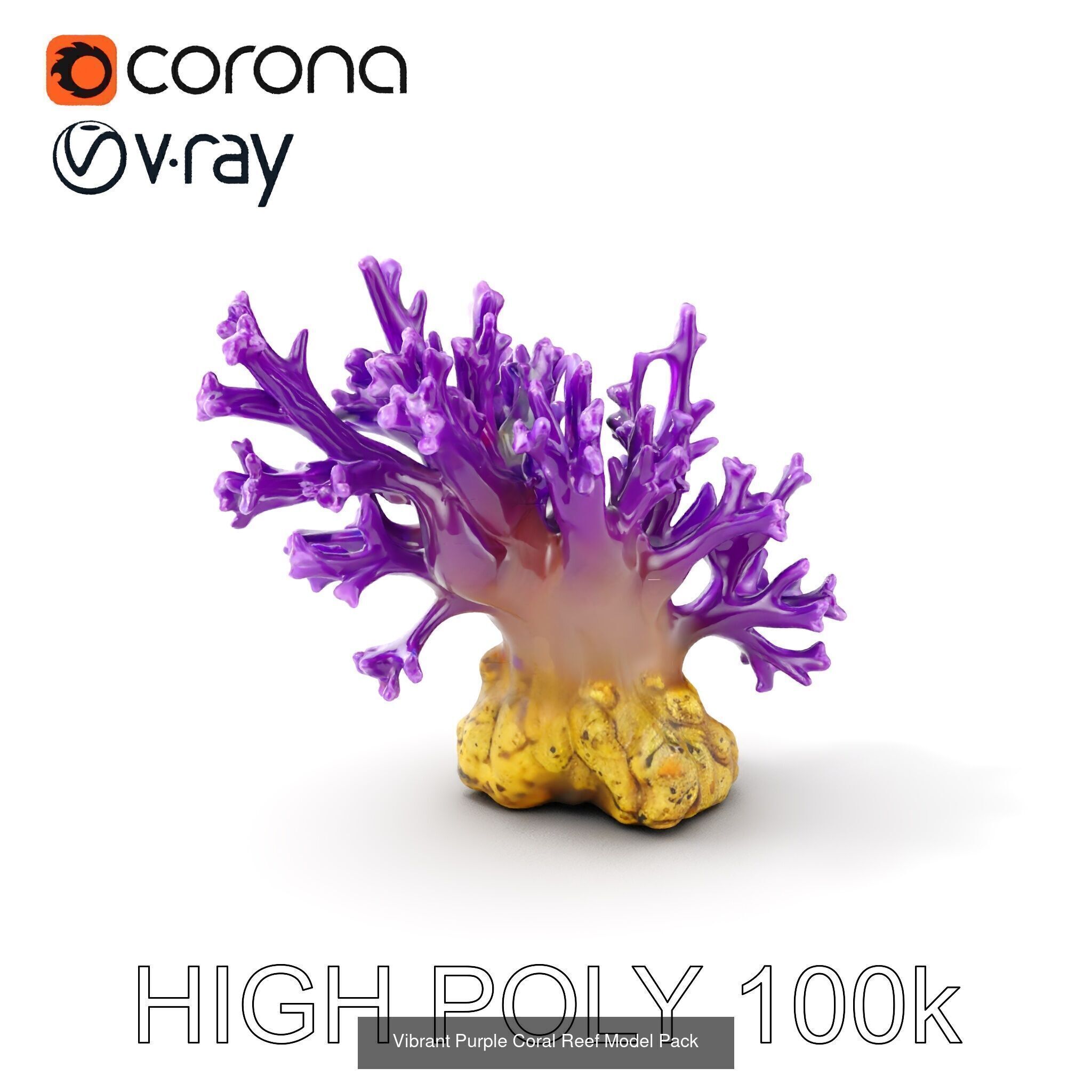 Coral Reefs 3D Models Pack 3D Model Collection_27