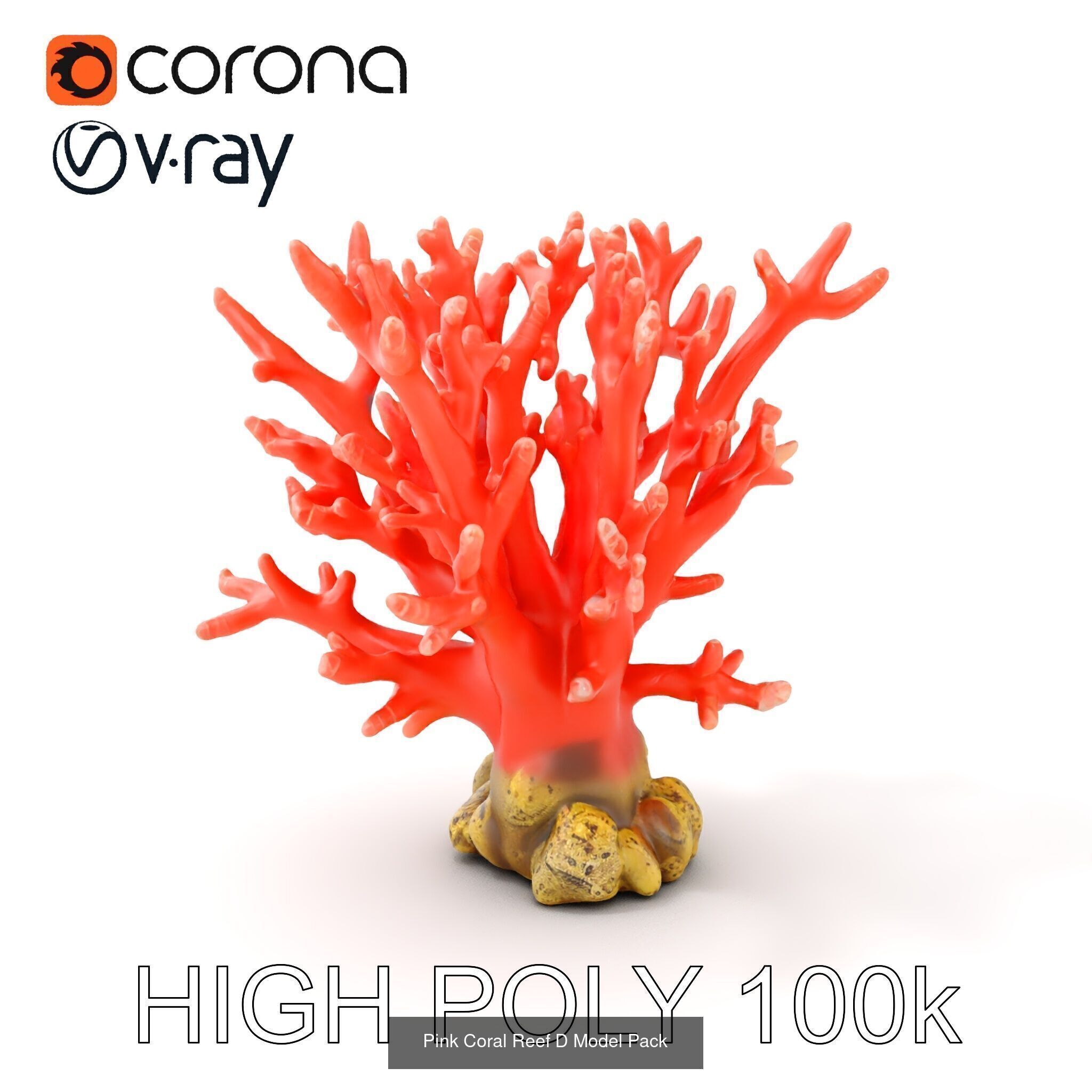 Coral Reefs 3D Models Pack 3D Model Collection_25