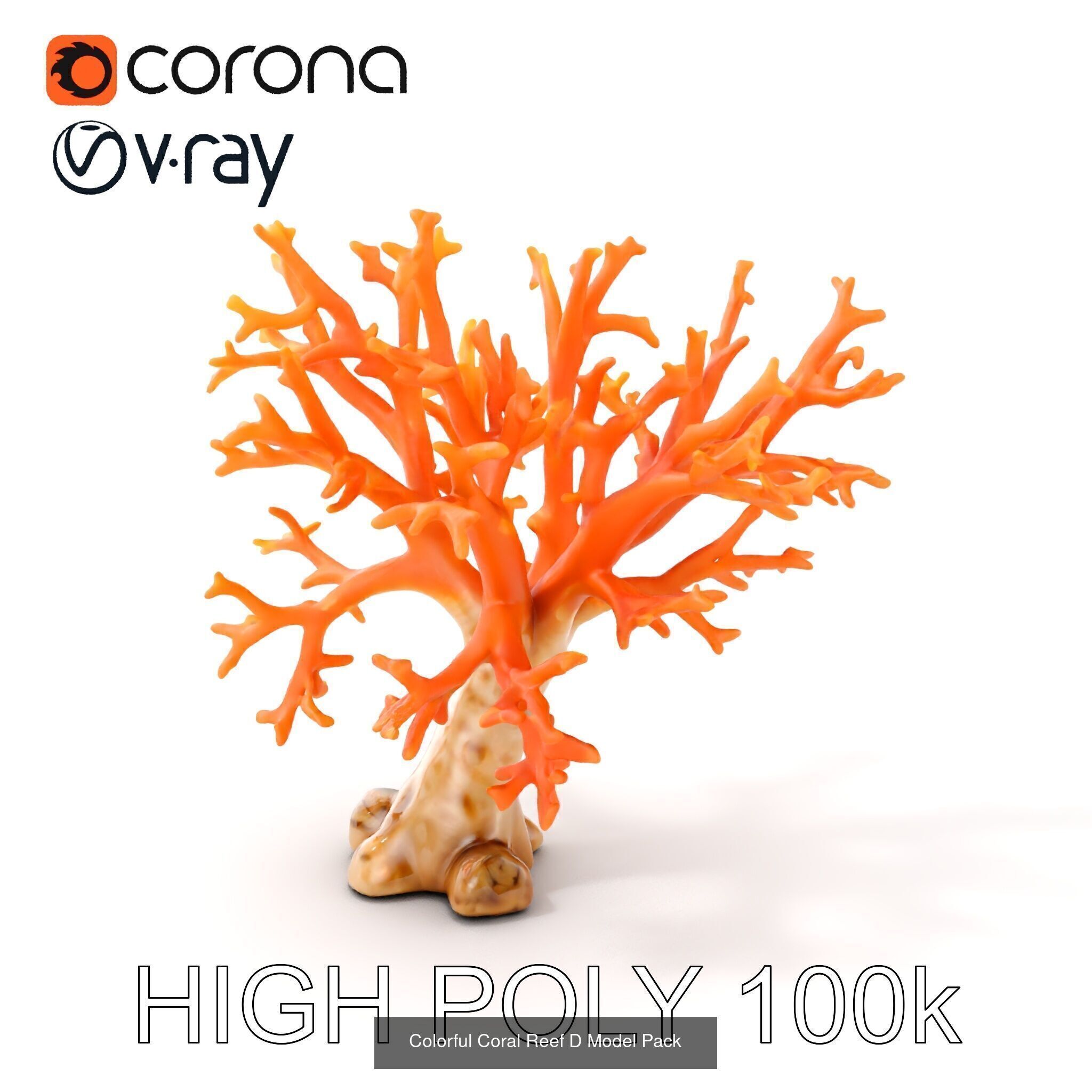 Coral Reefs 3D Models Pack 3D Model Collection_30