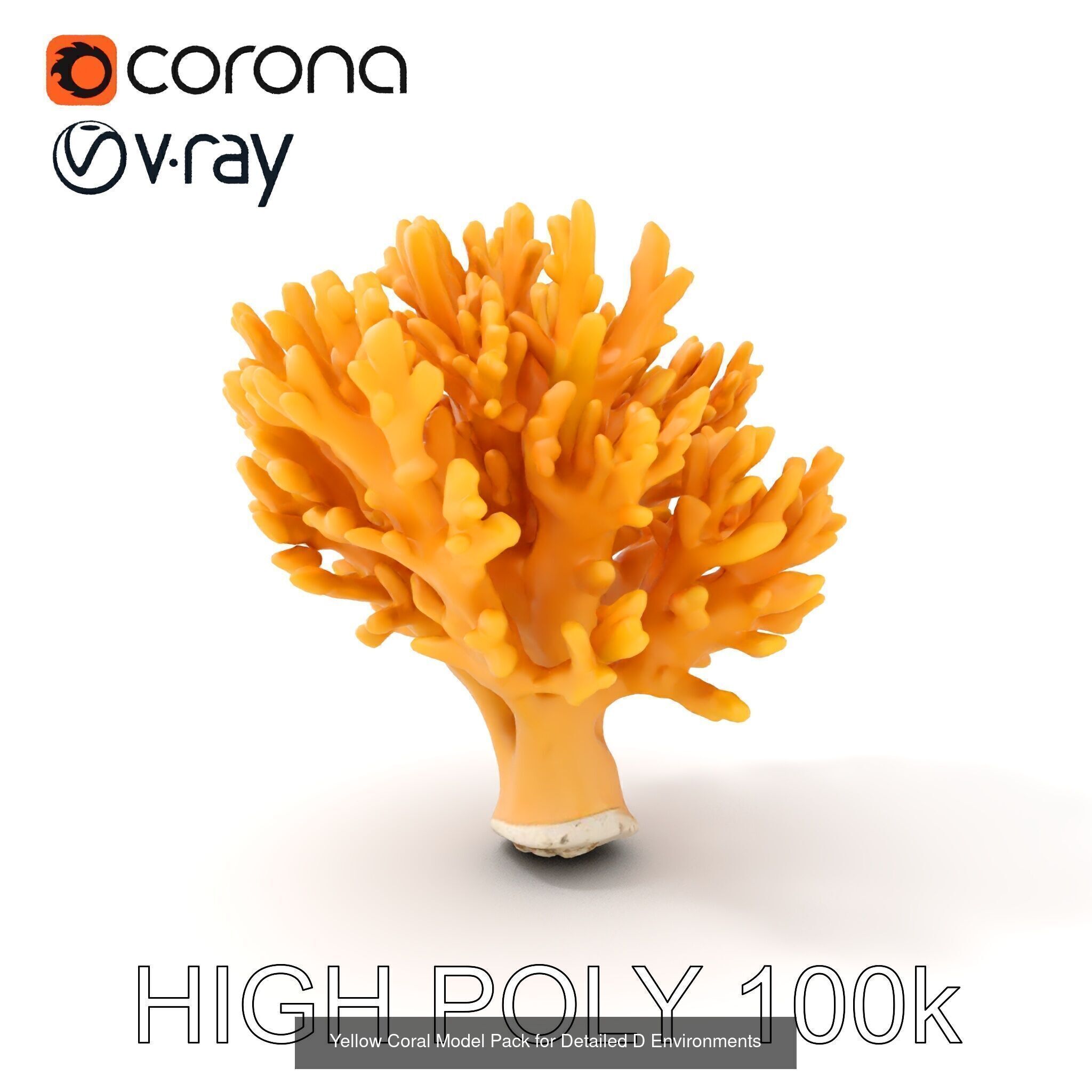 Coral Reefs 3D Models Pack 3D Model Collection_26