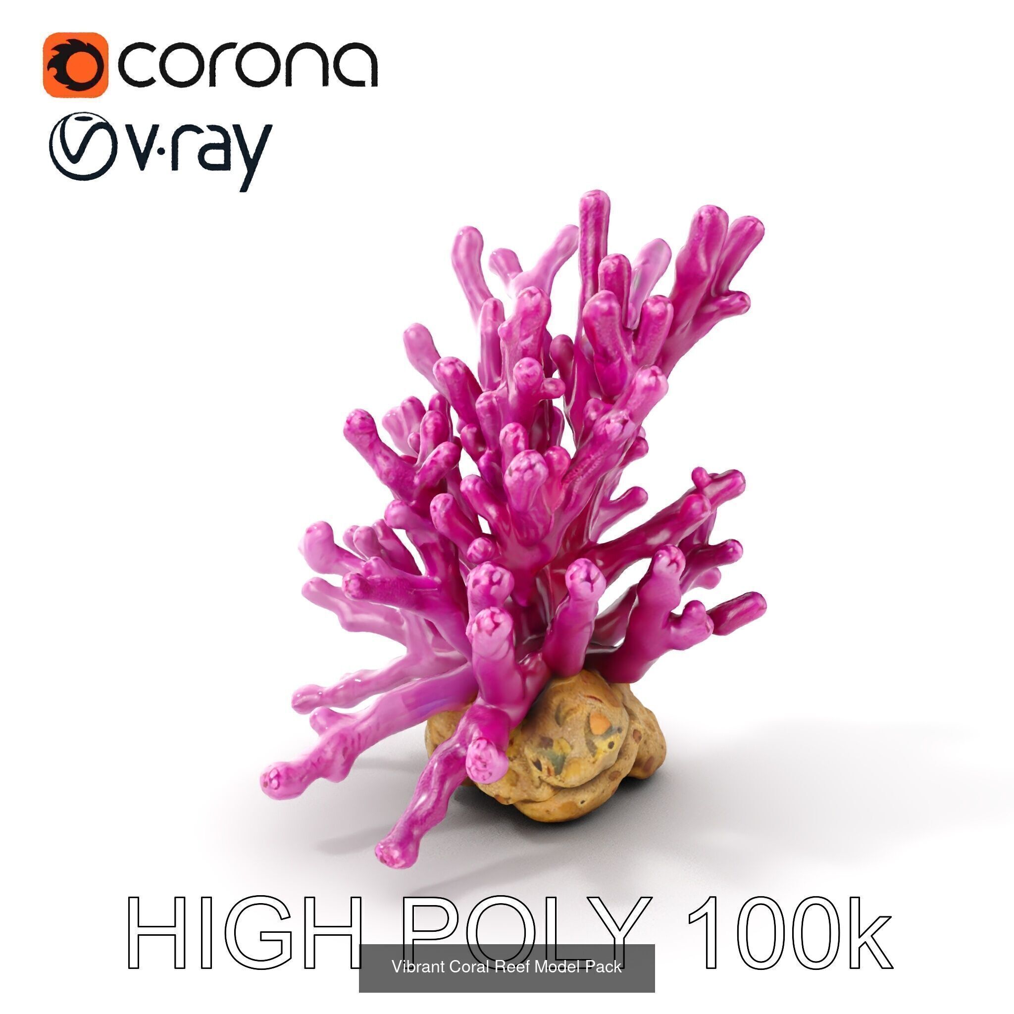 Coral Reefs 3D Models Pack 3D Model Collection_21