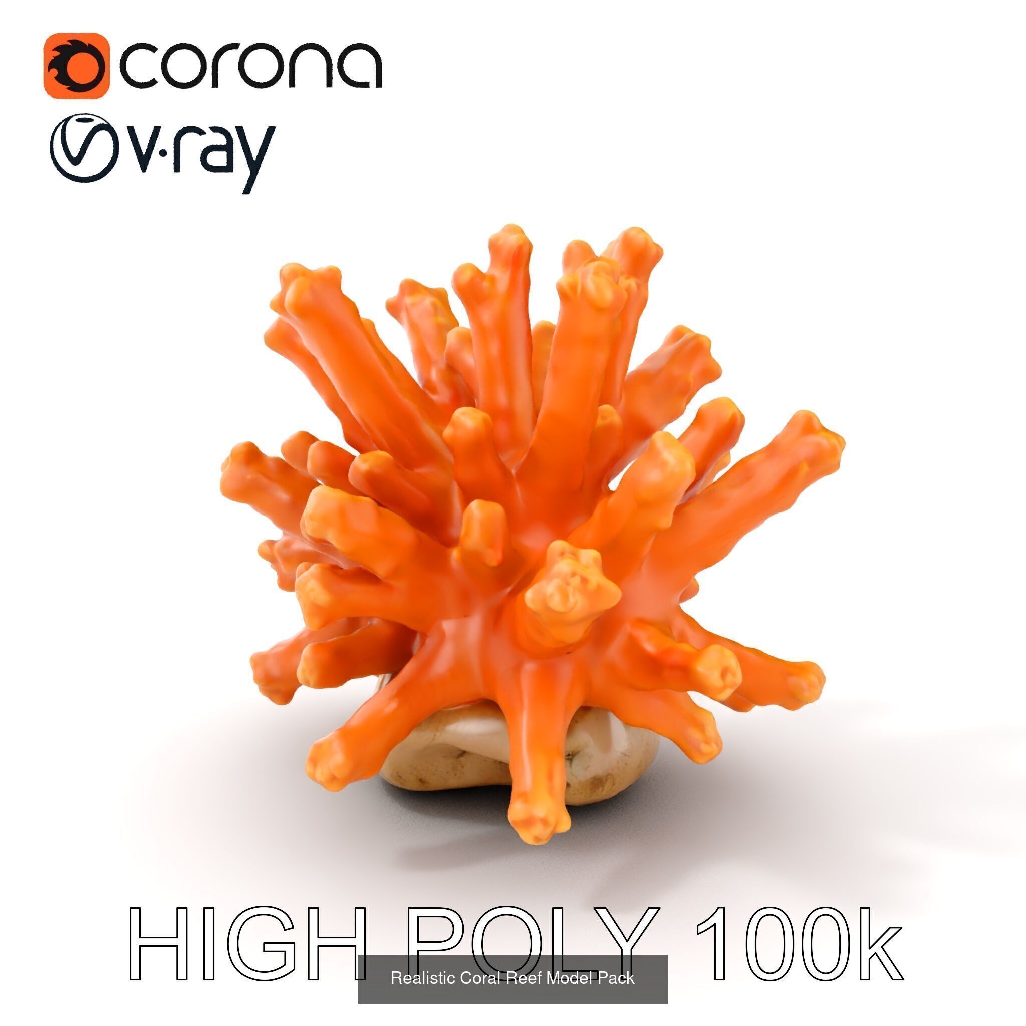 Coral Reefs 3D Models Pack 3D Model Collection_17