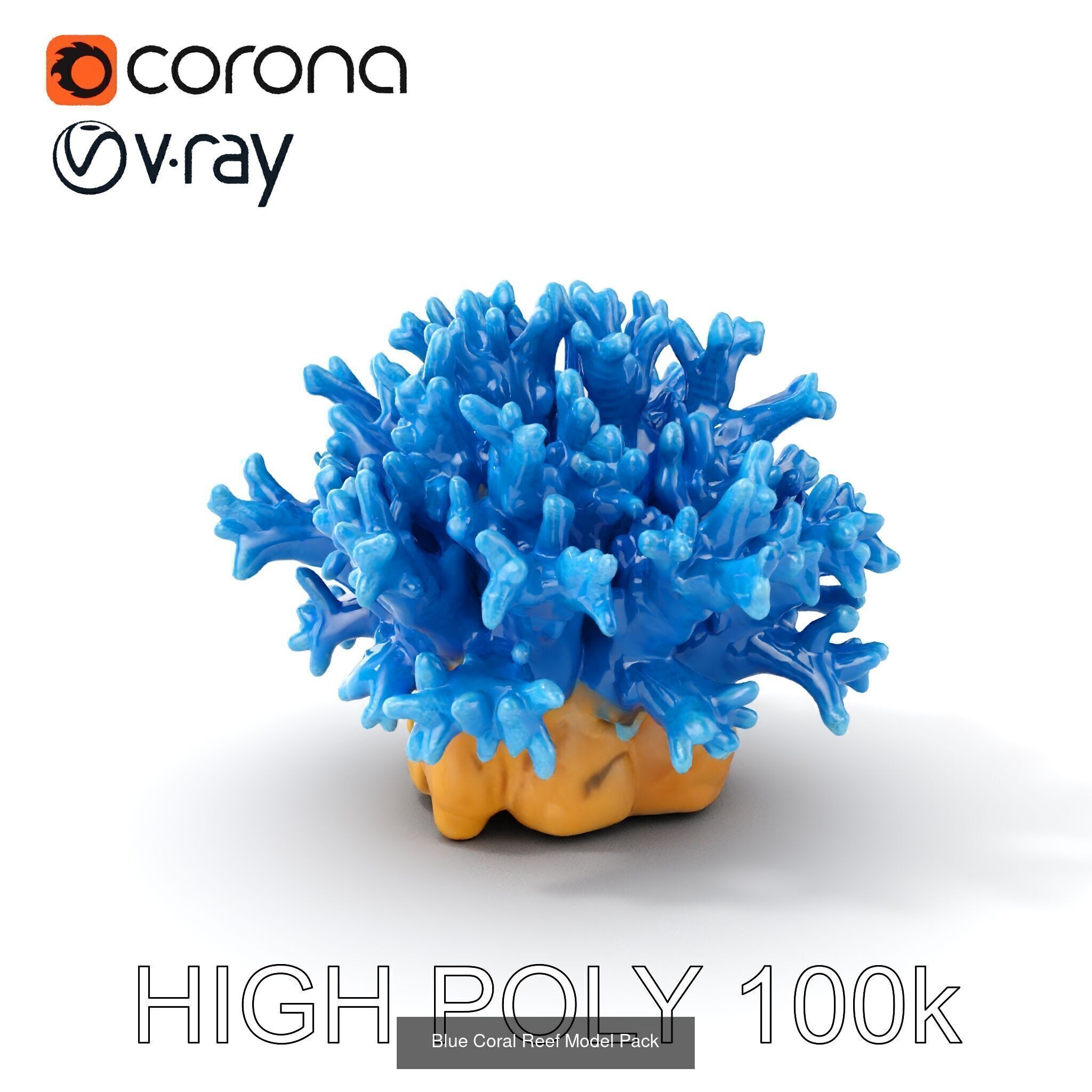 Coral Reefs 3D Models Pack 3D Model Collection_29