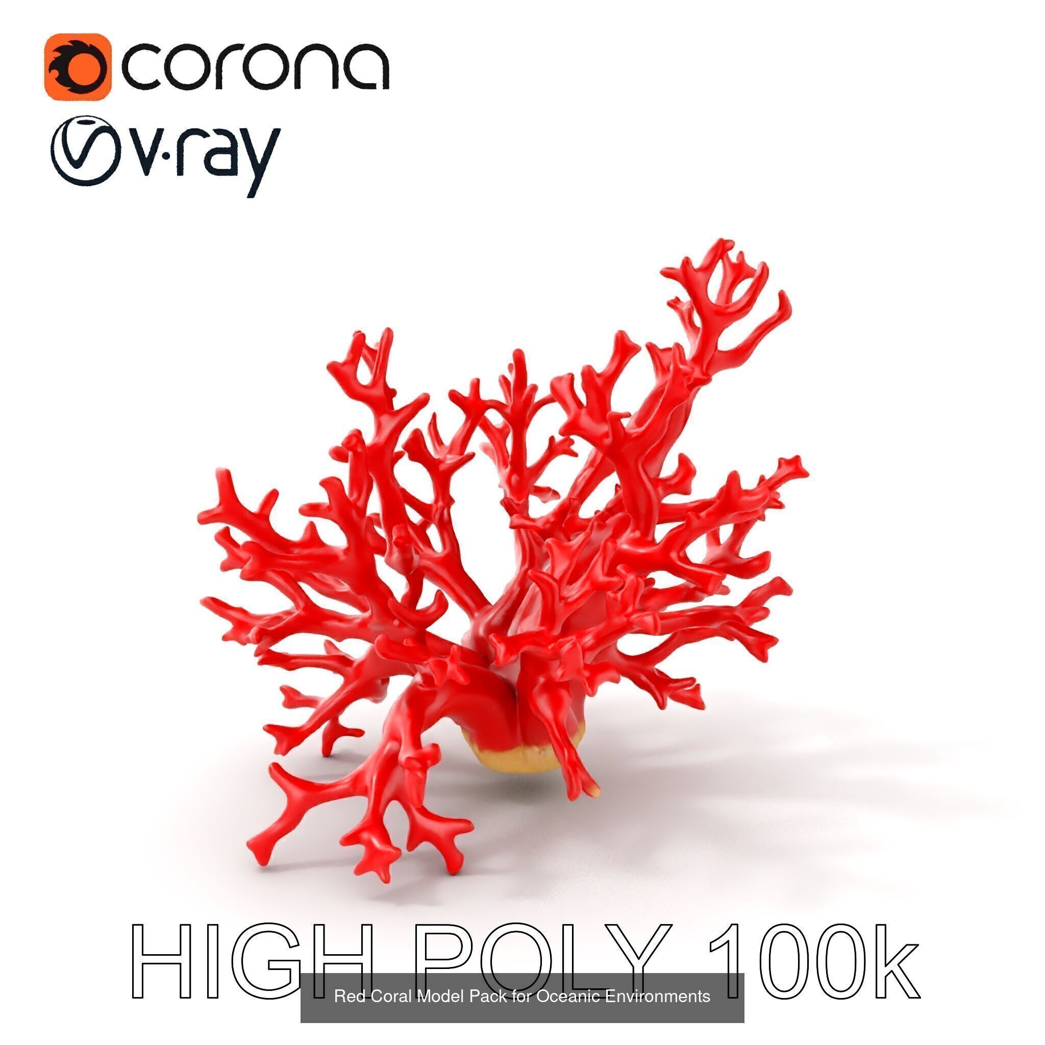 Coral Reefs 3D Models Pack 3D Model Collection_16