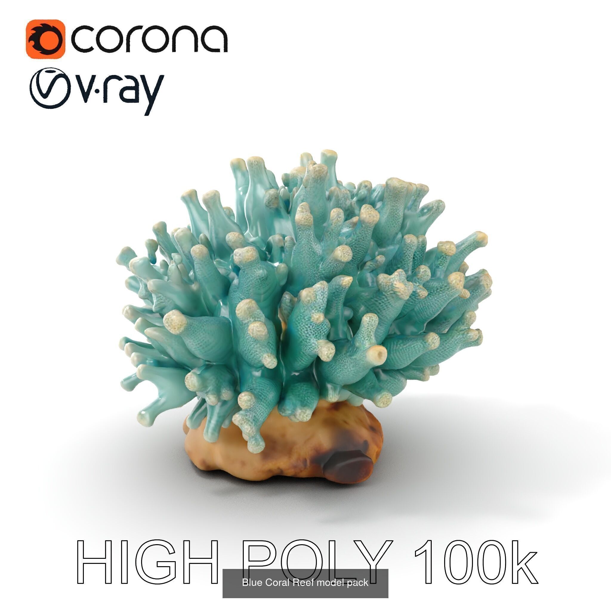 Coral Reefs 3D Models Pack 3D Model Collection_28