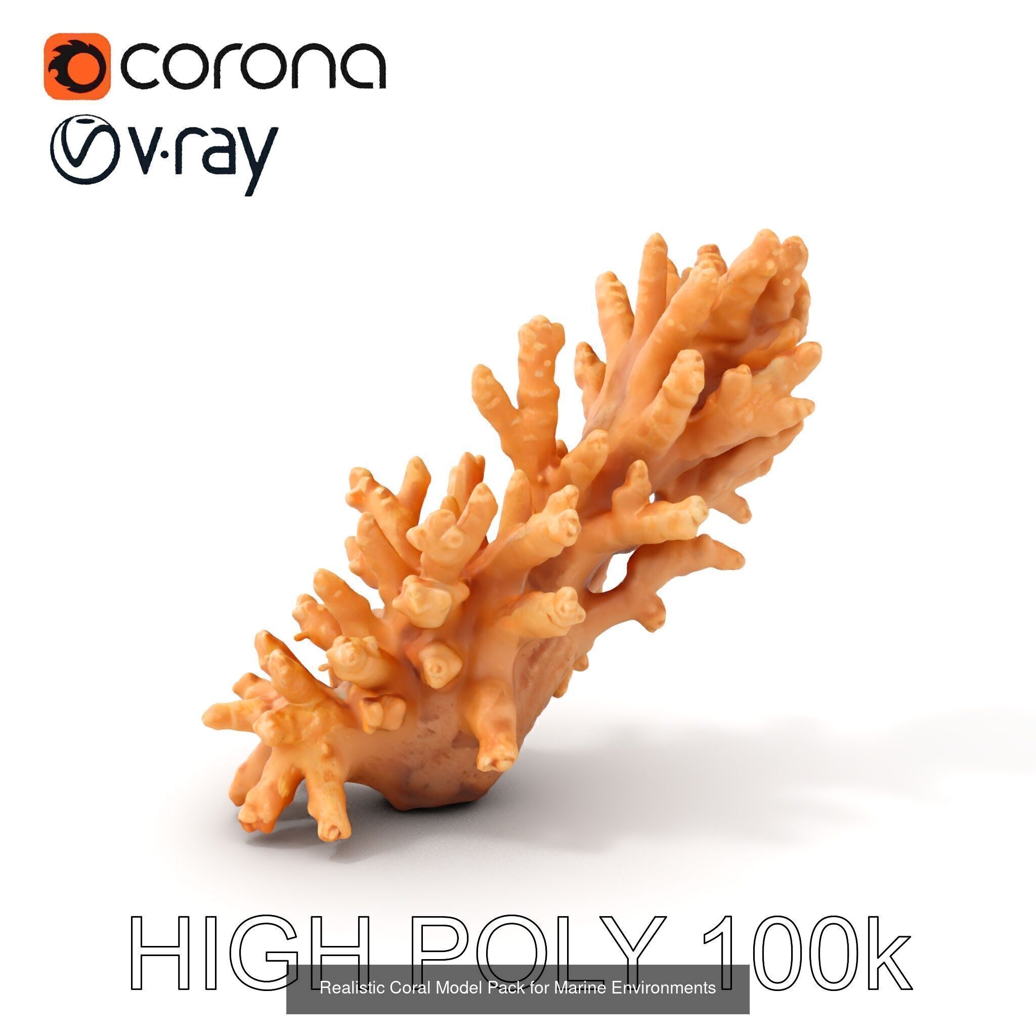Coral Reefs 3D Models Pack 3D Model Collection_18