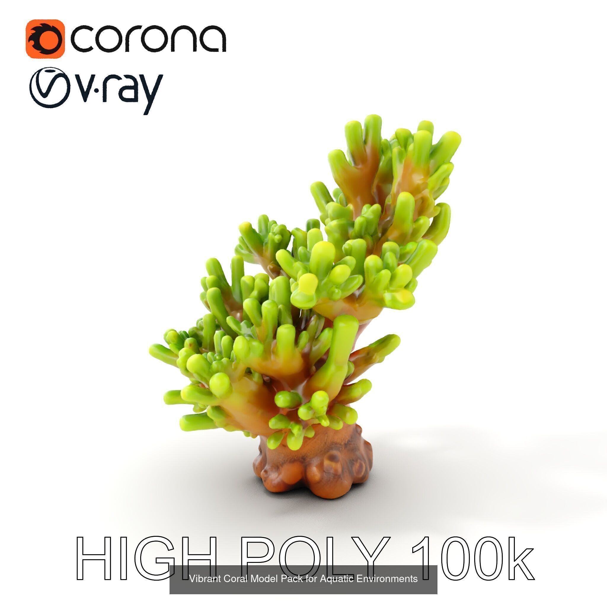 Coral Reefs 3D Models Pack 3D Model Collection_23