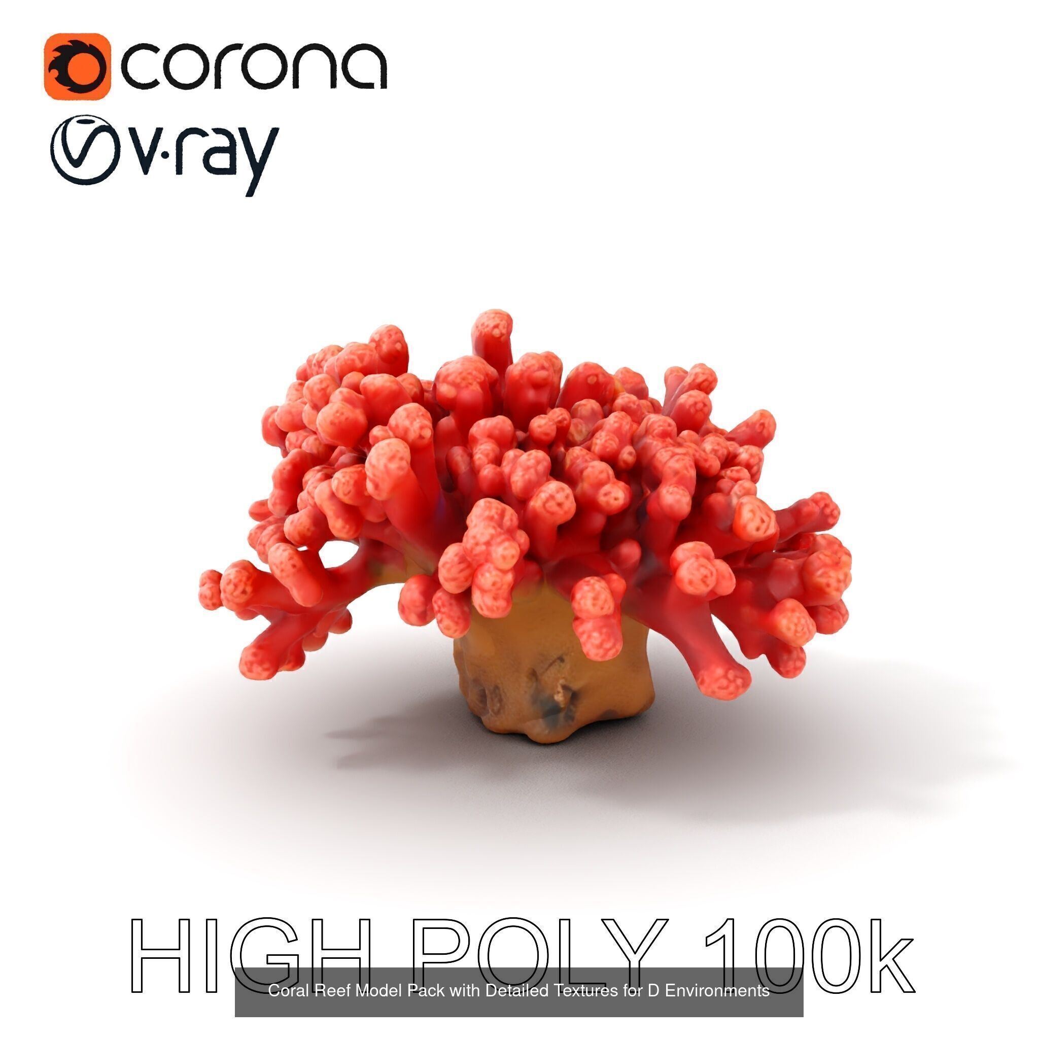 Coral Reefs 3D Models Pack 3D Model Collection_22