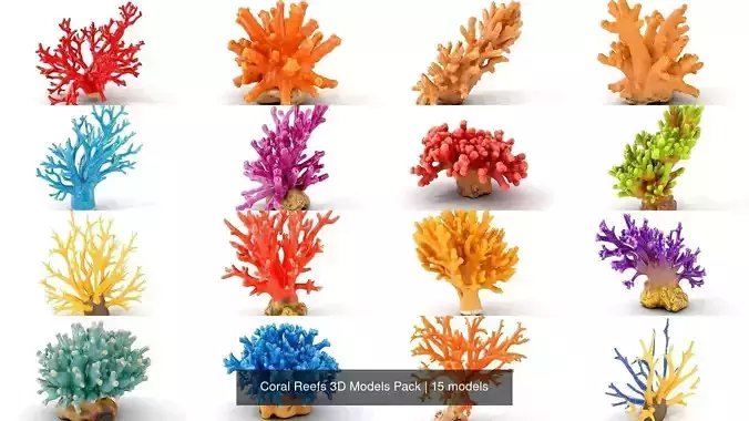 Coral Reefs 3D Models Pack 3D Model Collection