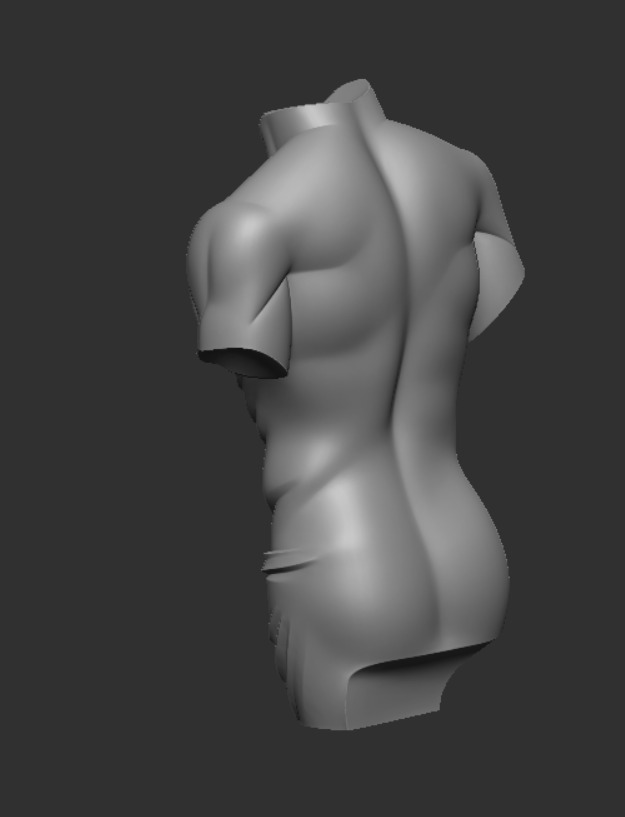 TORSO  3D print model_2