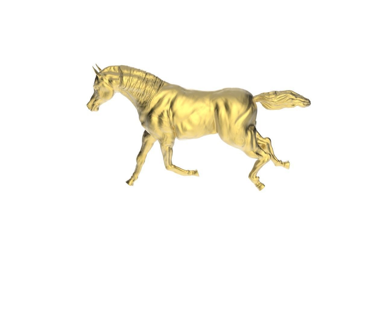 Arabic Horse in galloping position