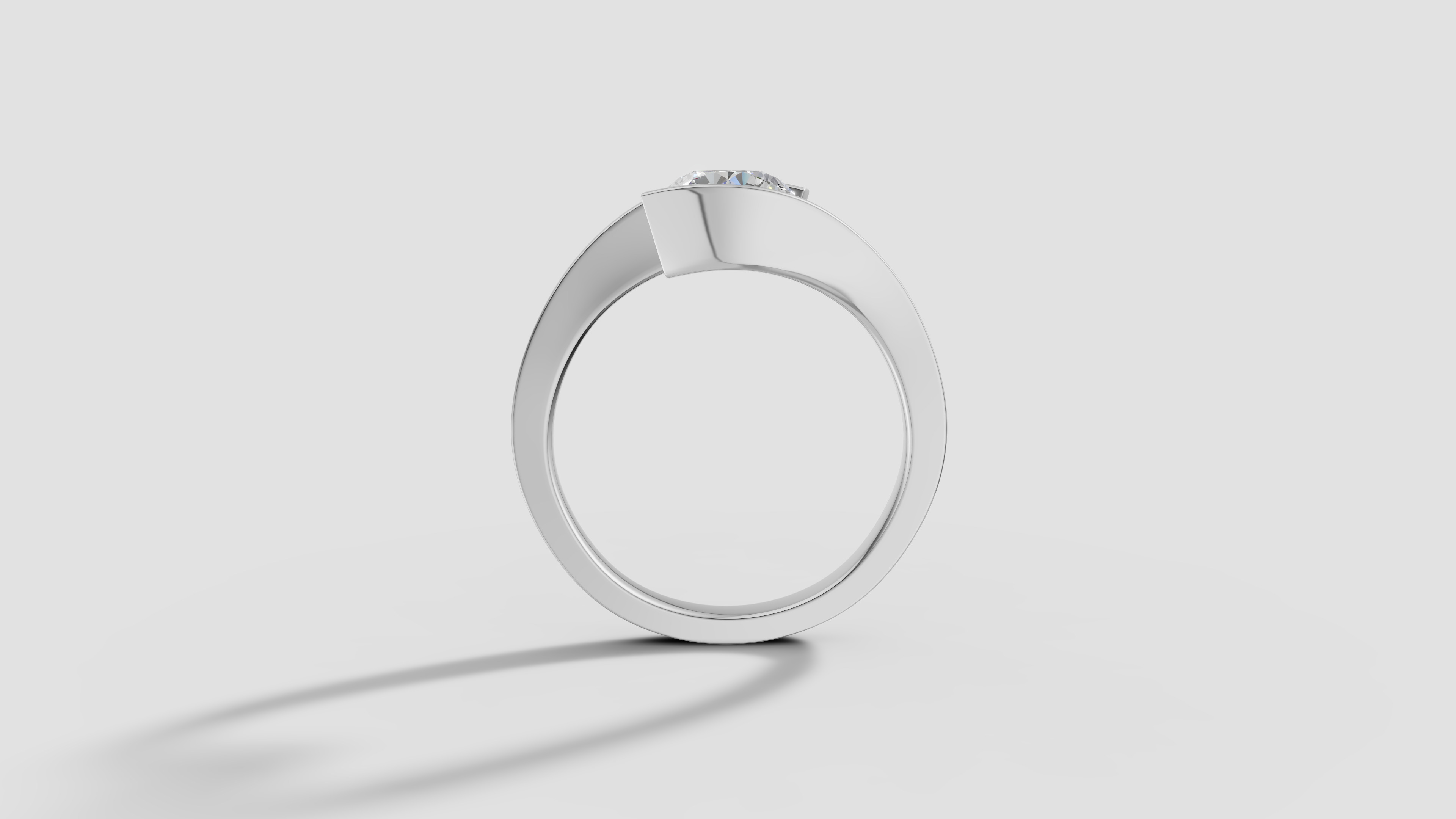 zdr0290 shadow ring 3D print model_5
